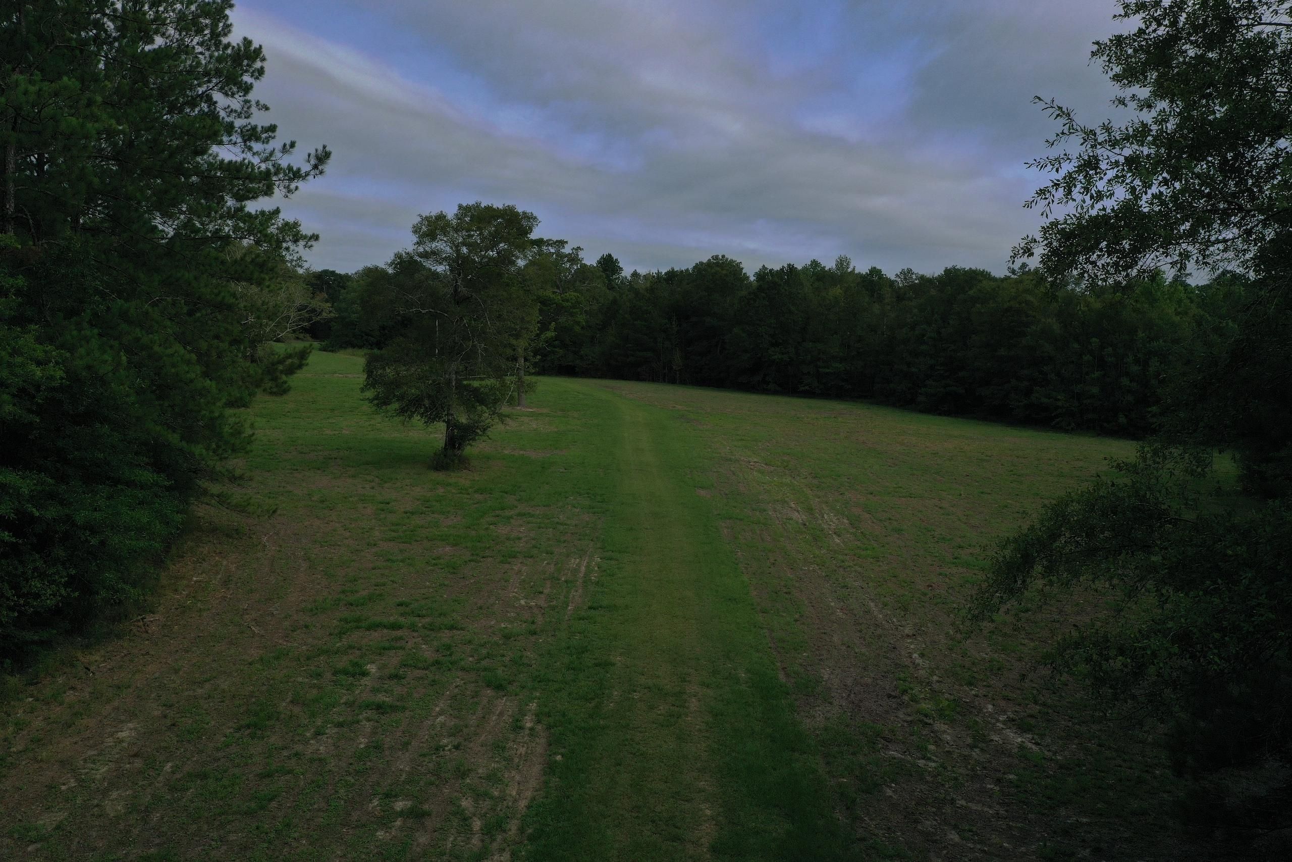 Franklinton, Washington Parish, LA Timberland Property, Hunting