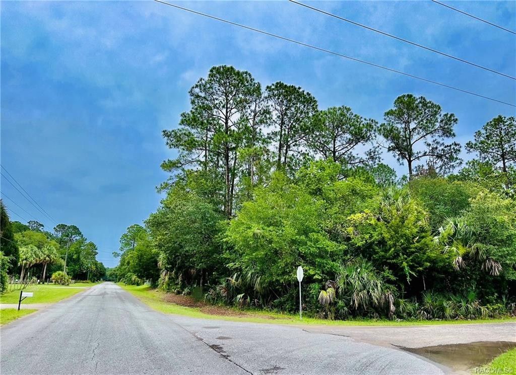 Inglis, Levy County, FL Farms and Ranches, Homesites for sale Property
