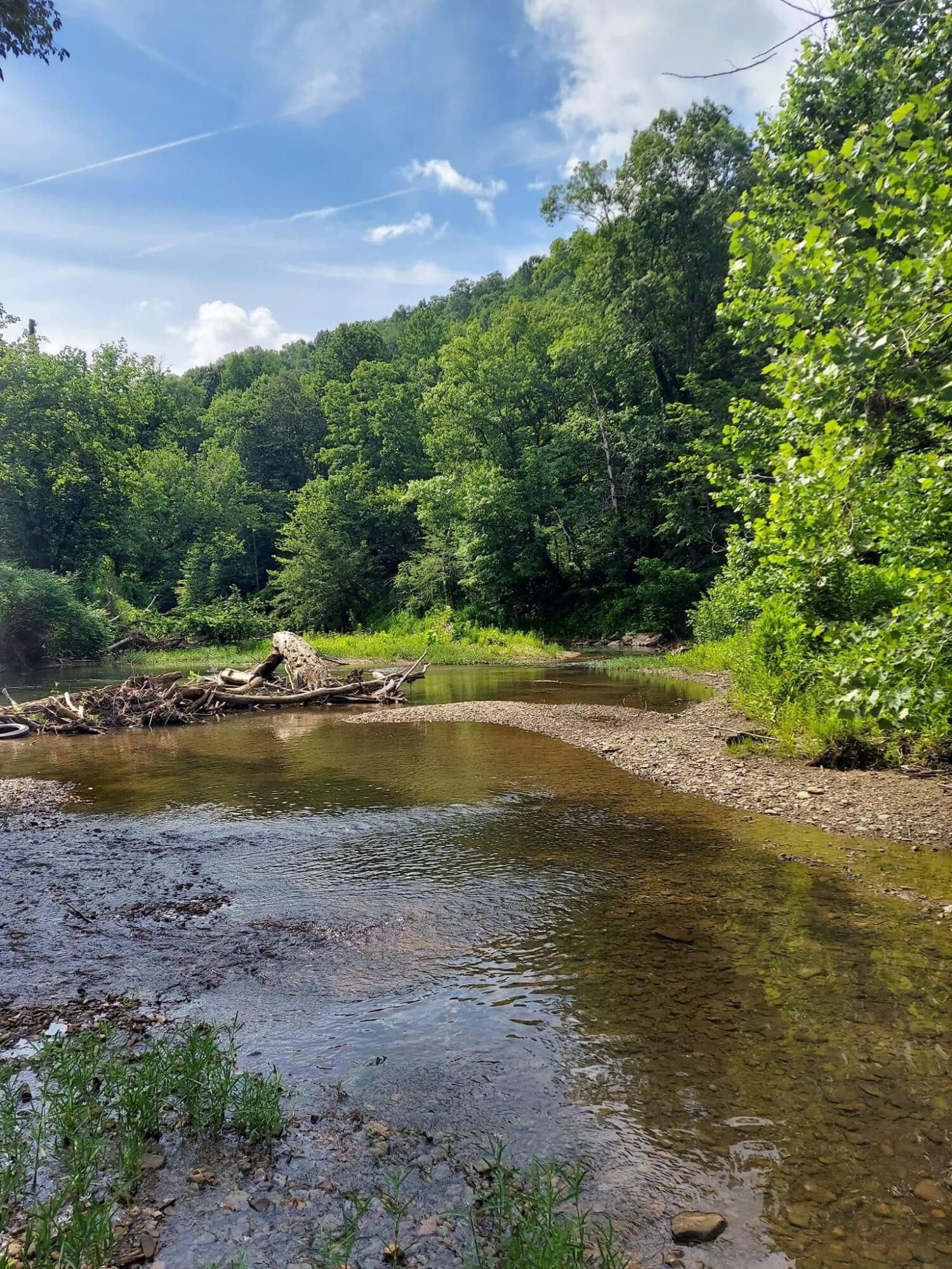 Irvine, Estill County, KY Farms and Ranches for sale Property ID