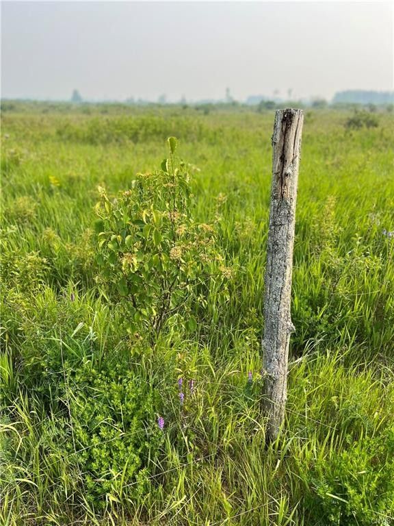 Clayton, Jefferson County, NY Undeveloped Land for sale Property ID