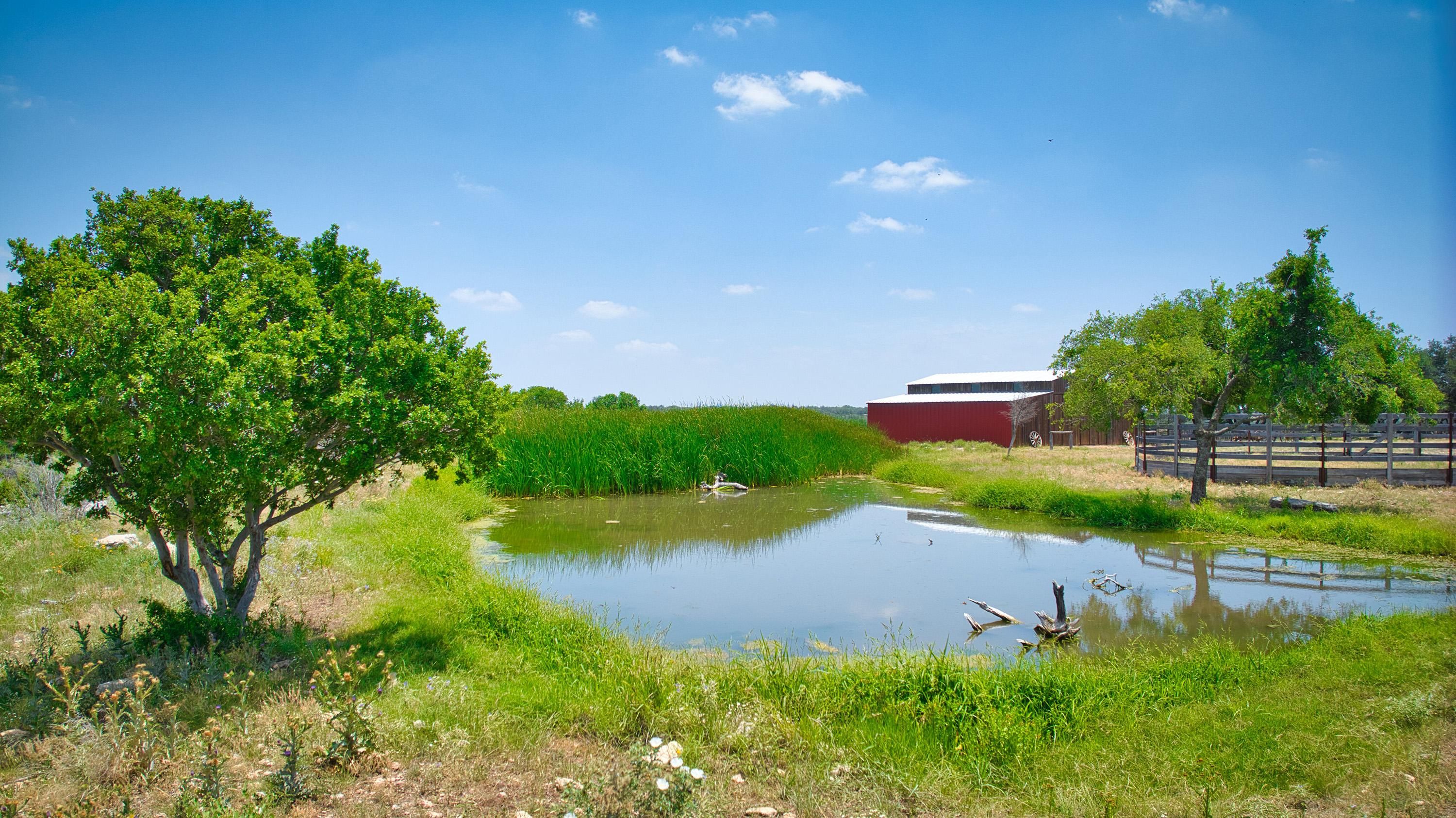 598 County Road 316, Eldorado, TX 76936 LandWatch