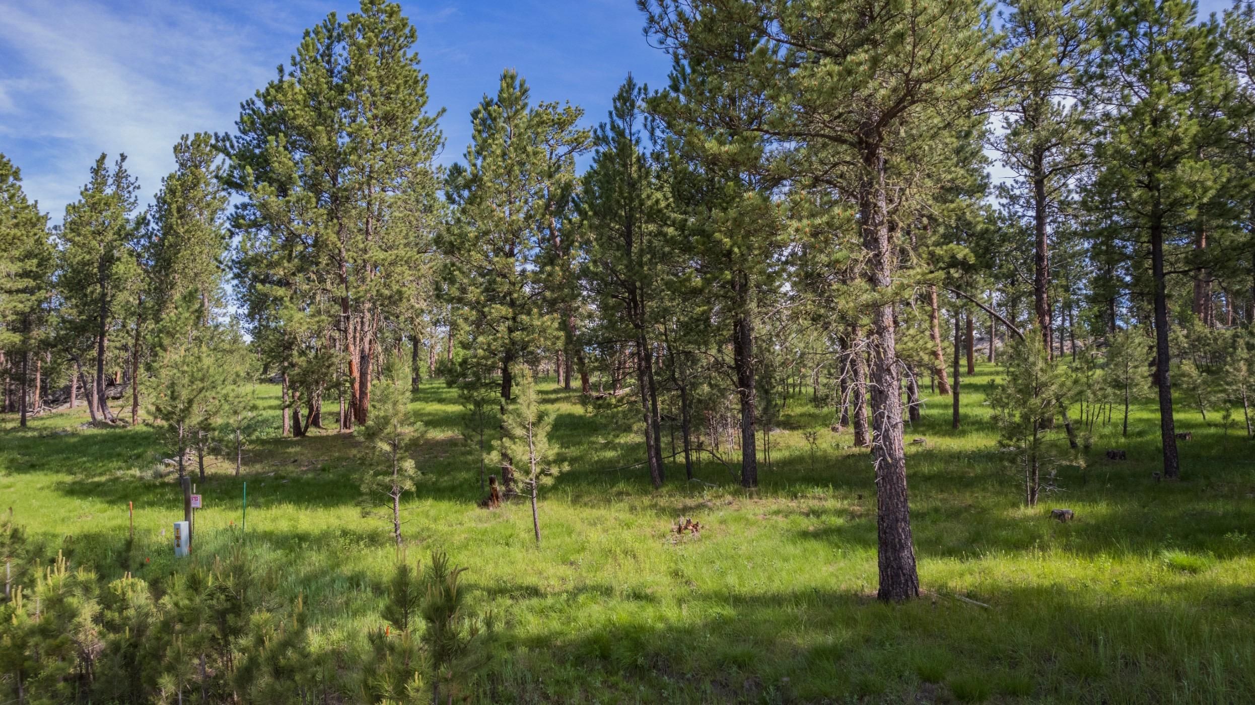 Custer, Custer County, SD Recreational Property, Horse Property for