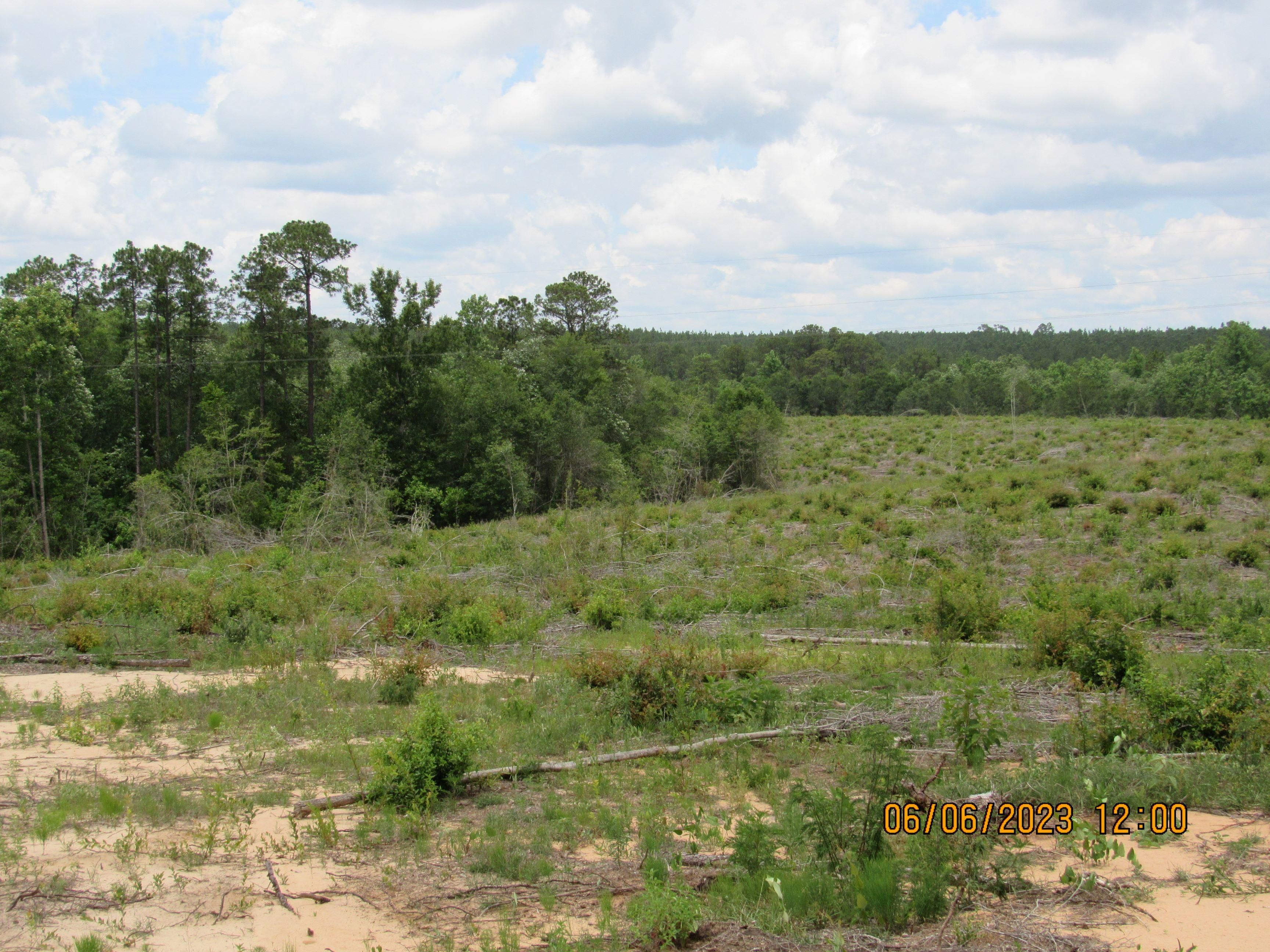 80 acres in Lucedale, MS, 39452 LandWatch