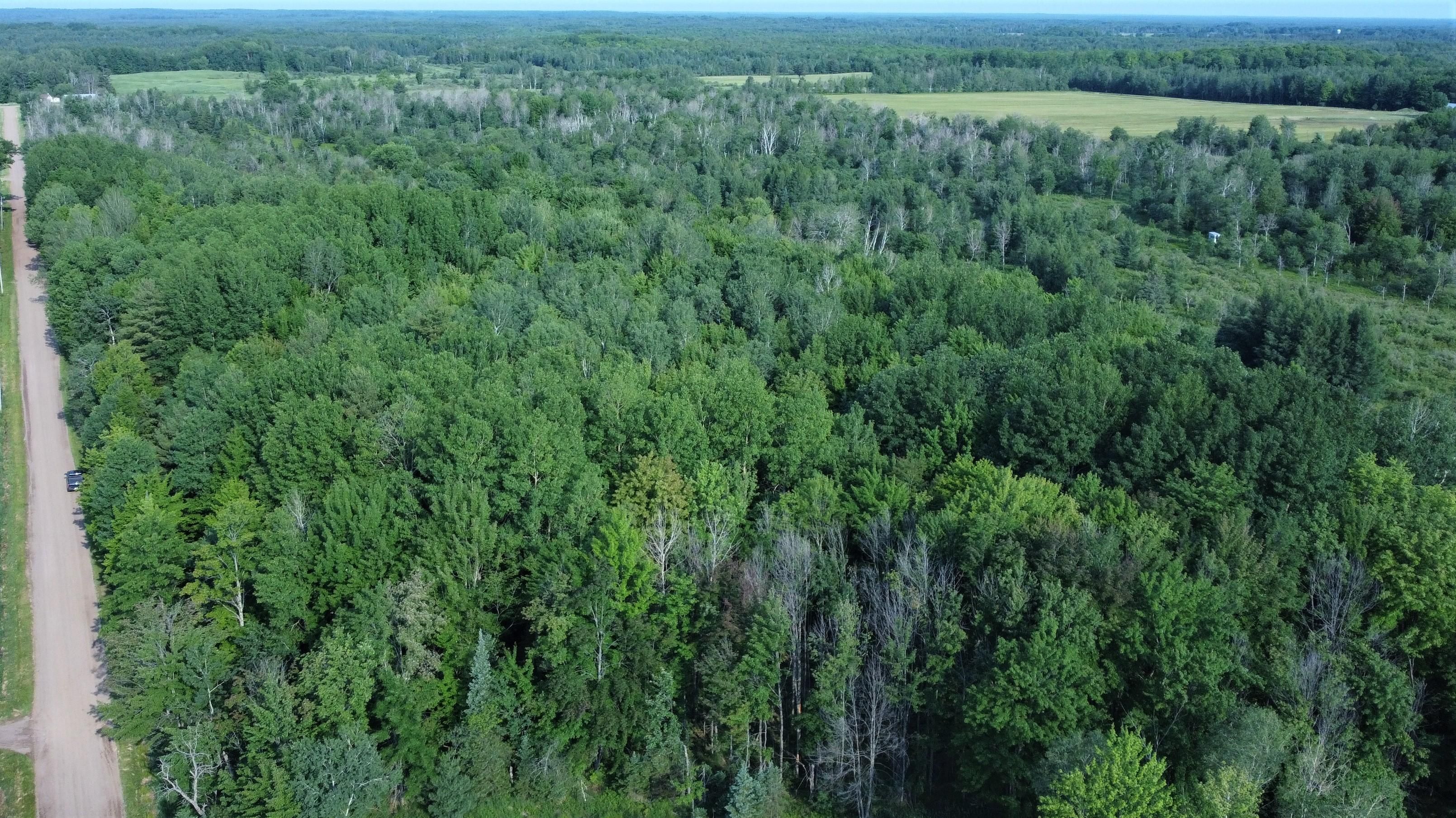 Worcester, Price County, WI Recreational Property, Timberland Property