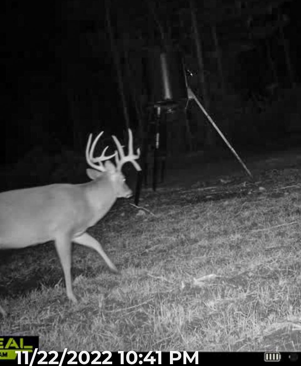 Mt Pleasant Road, Noxapater, MS 39346 MLS 4046031 LandWatch