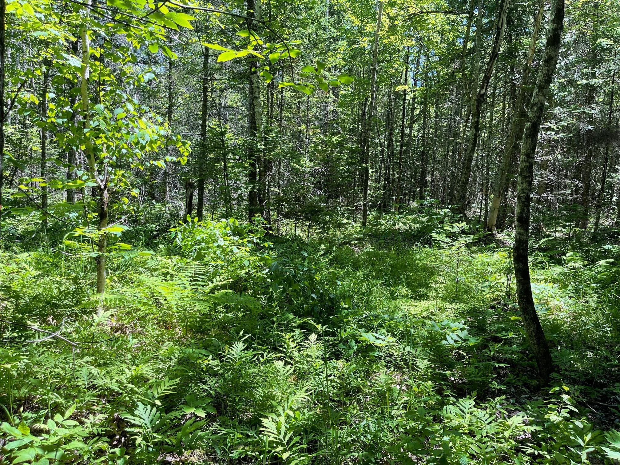 Old Town, Penobscot County, ME Farms and Ranches for sale Property ID