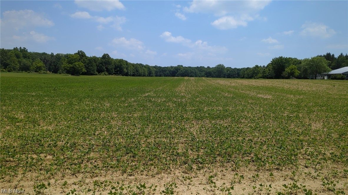 Columbia Station, Lorain County, OH Farms and Ranches for sale Property