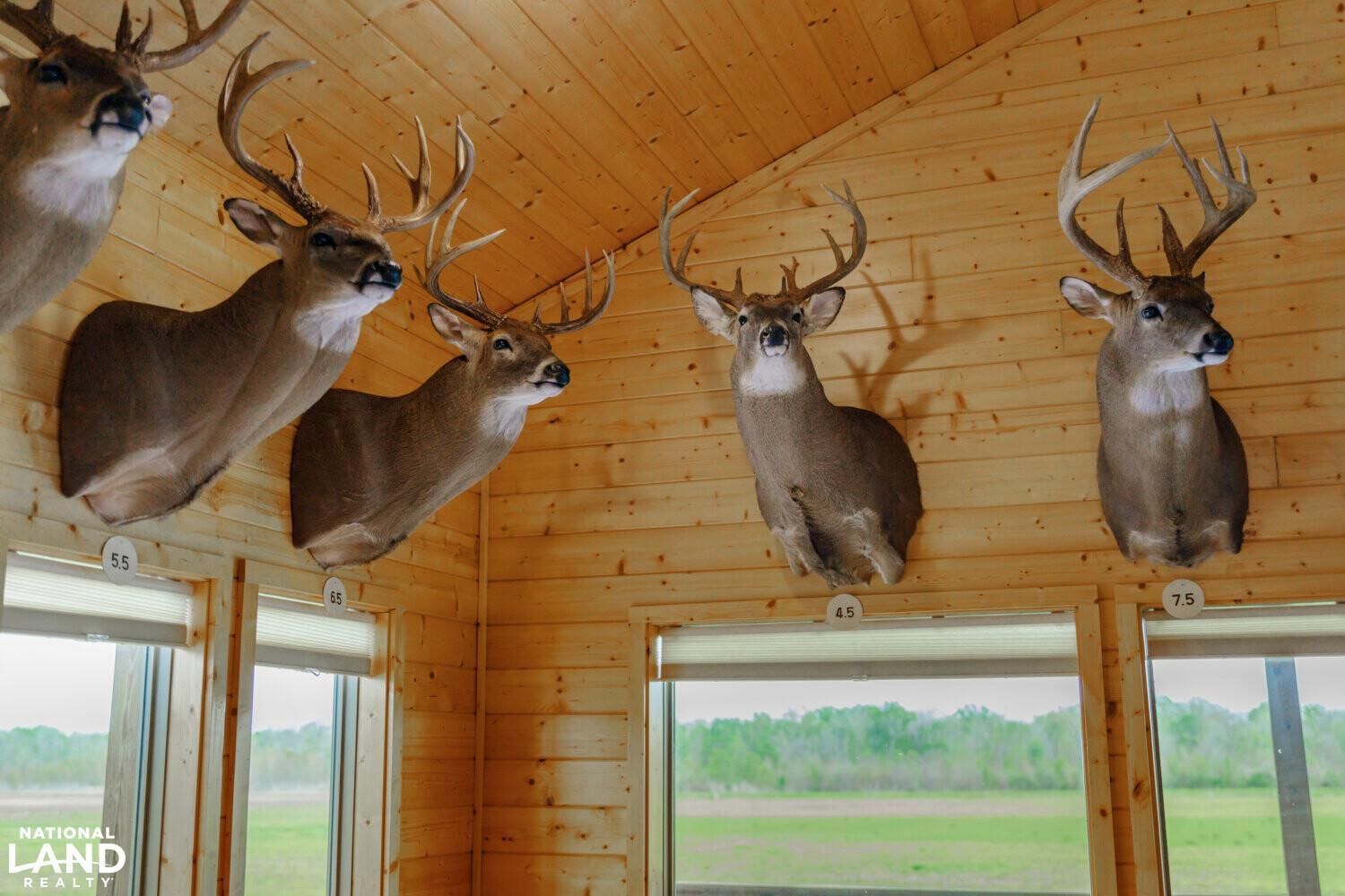TBD Frank Graham Ln, Bordelonville, LA 71355 LandWatch