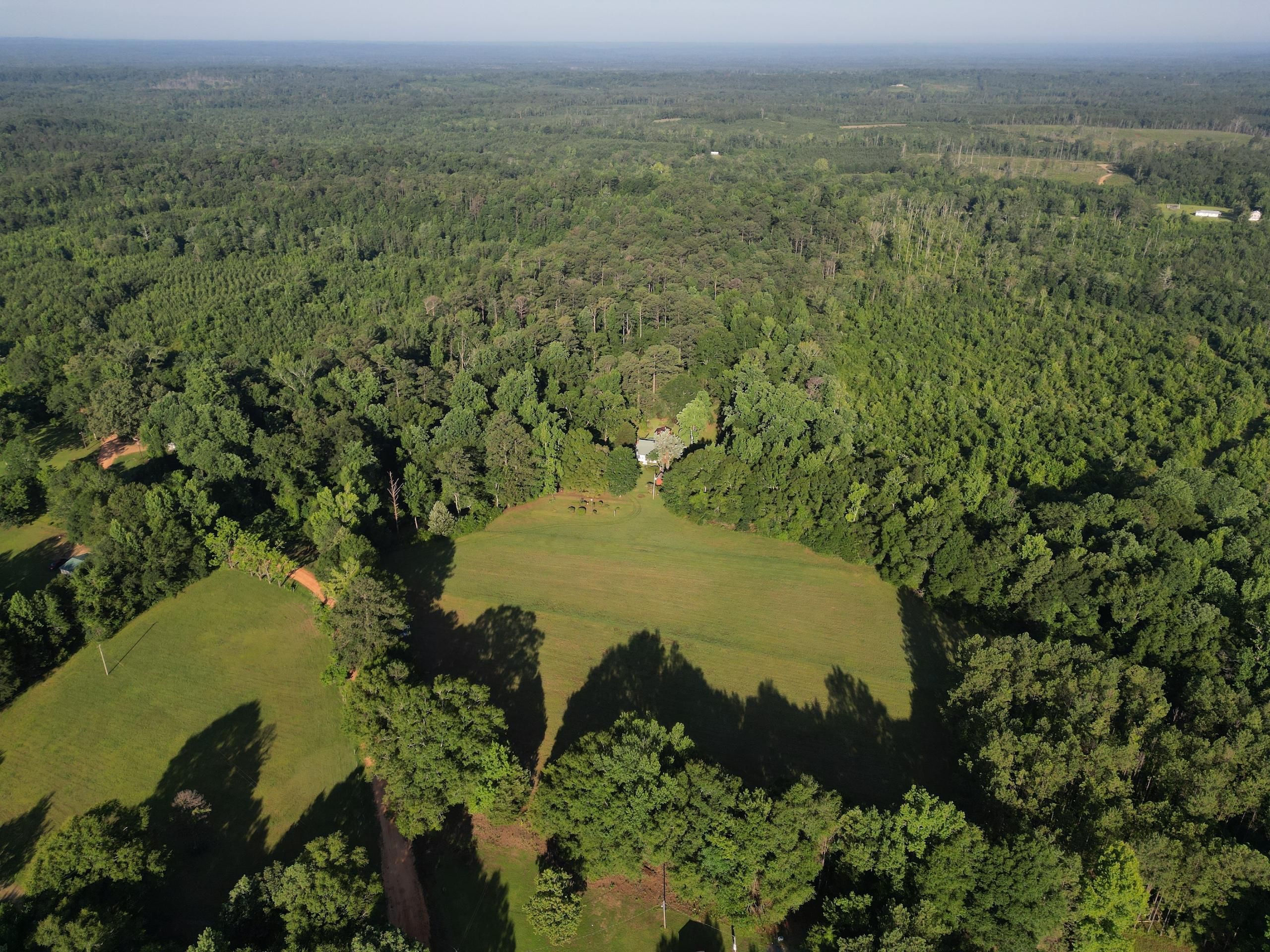 514 Bethel Cutoff Road, LotWP001, Coffeeville, AL 36524 LandWatch