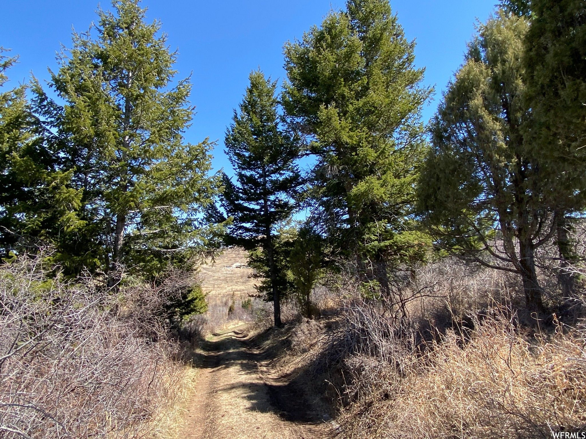 Soda Springs, Caribou County, ID Undeveloped Land for sale Property ID