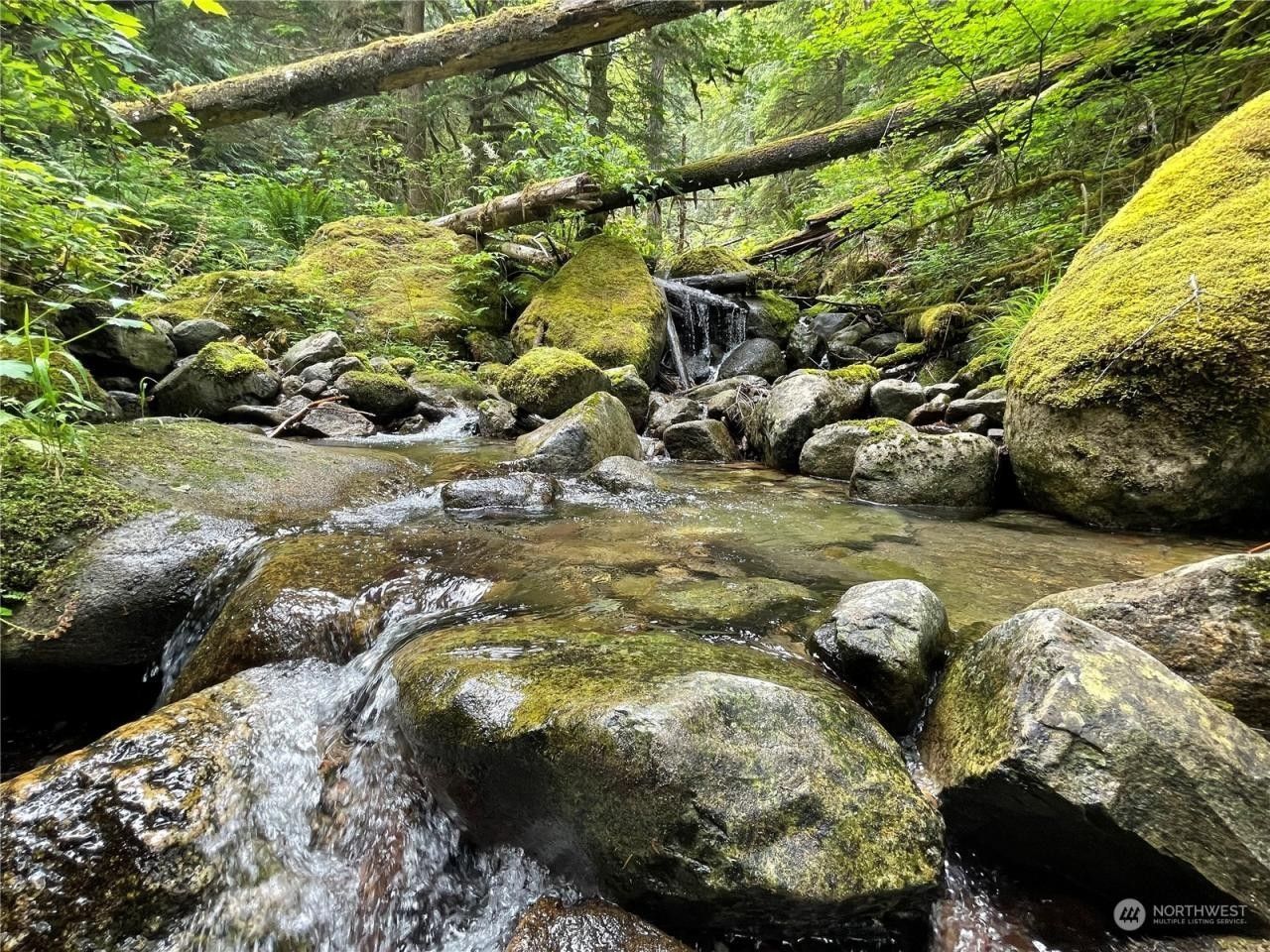 Skykomish, King County, WA for sale Property ID 416738982 LandWatch