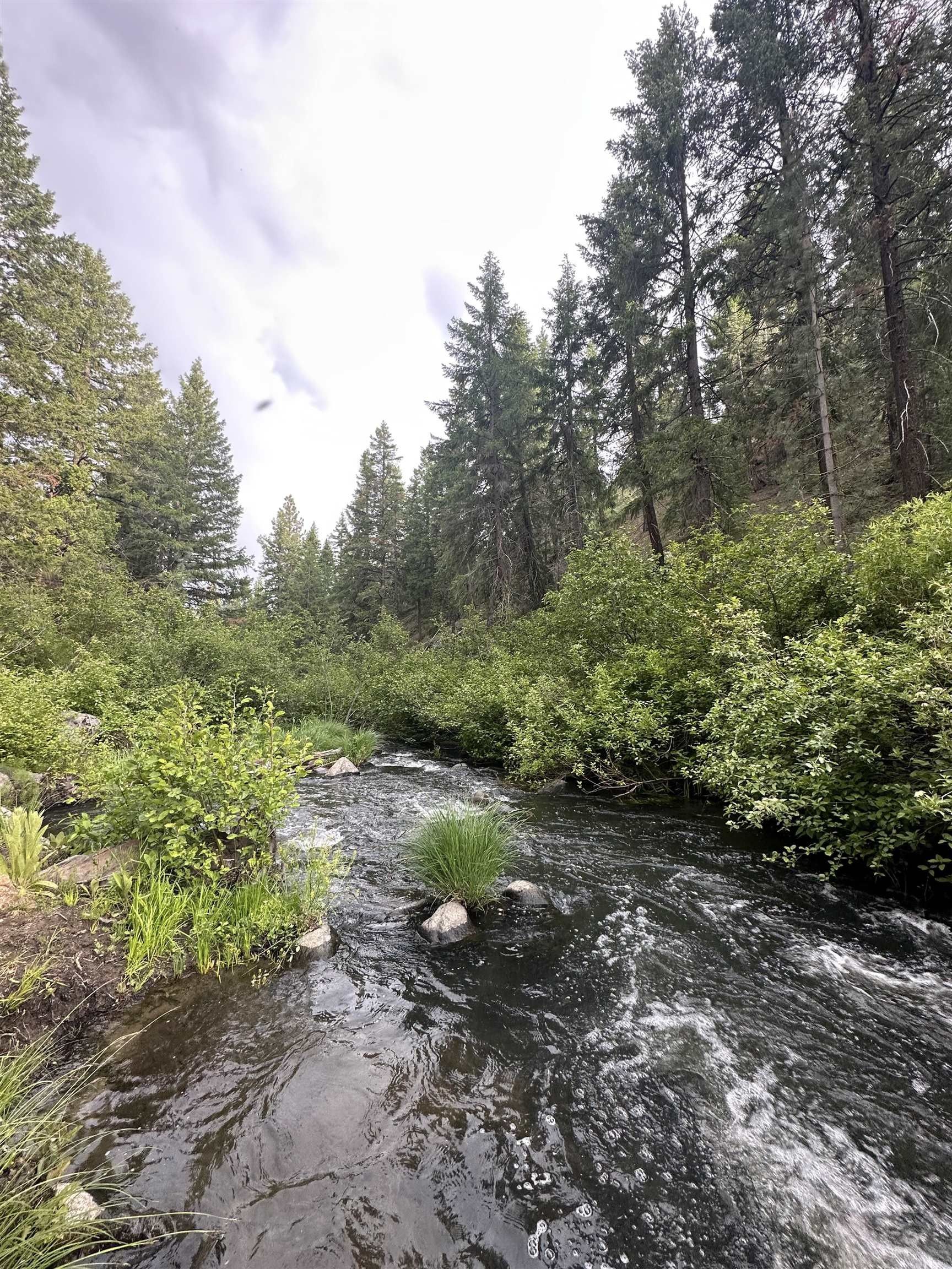 Portola, Plumas County, CA Farms and Ranches, Lakefront Property