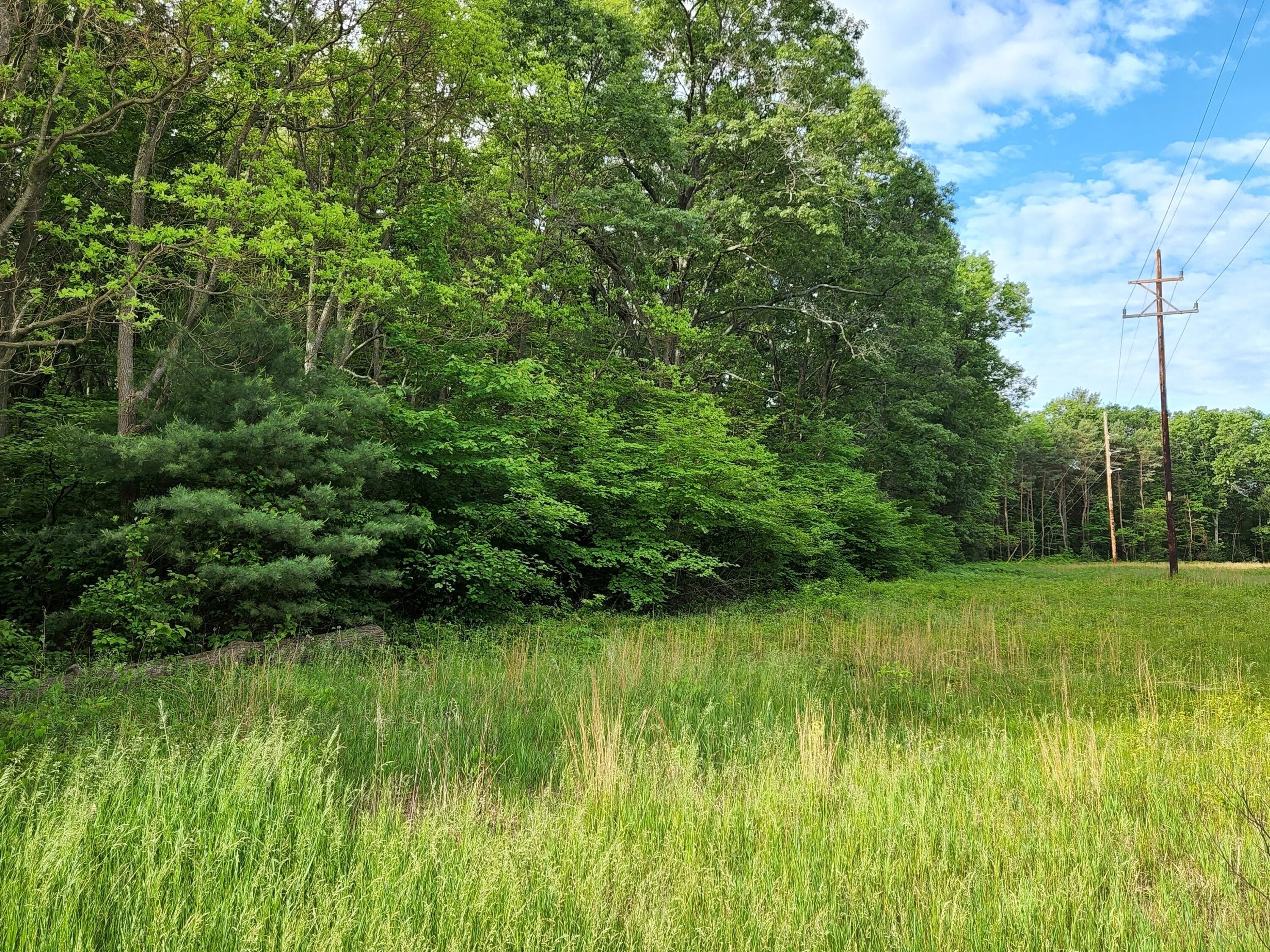 Grand Haven, Ottawa County, MI Undeveloped Land for sale Property ID