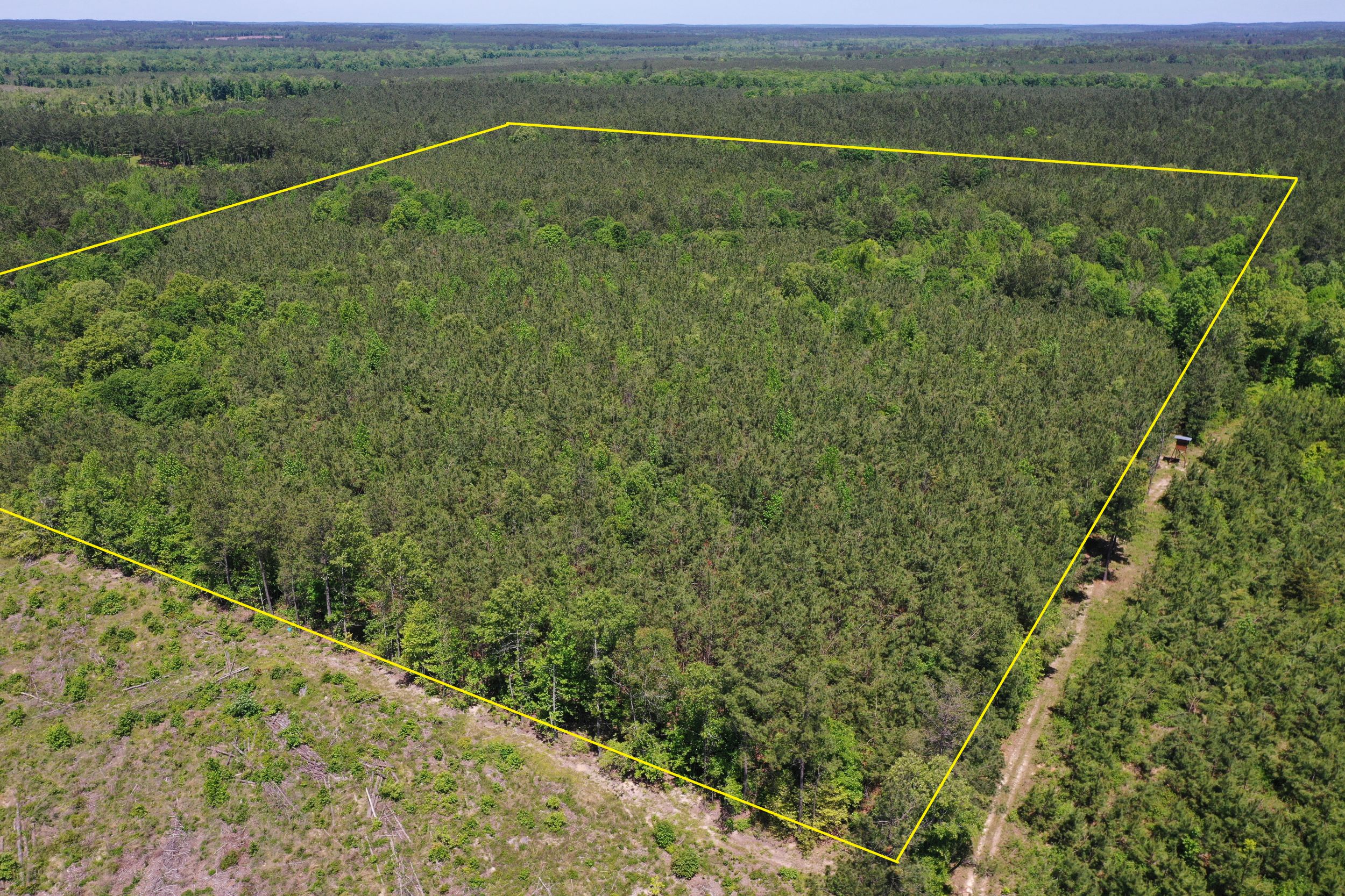 Cale, Nevada County, AR Recreational Property, Timberland Property