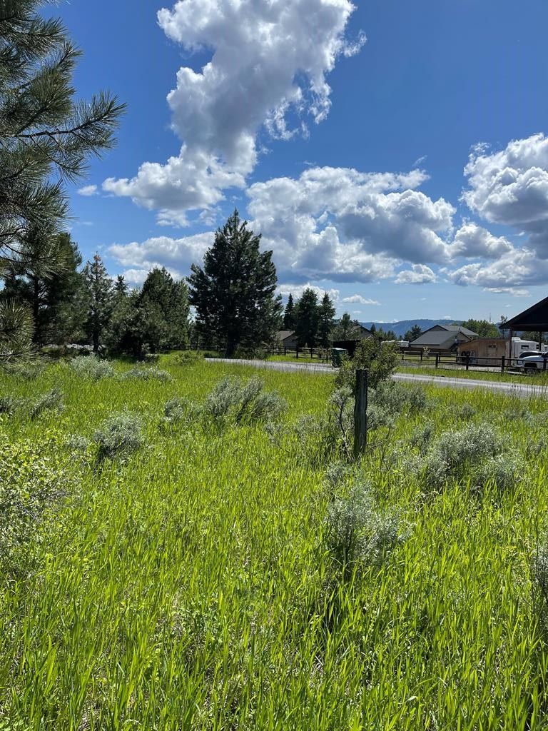 Mccall Valley County ID Undeveloped Land Homesites For Sale Property 