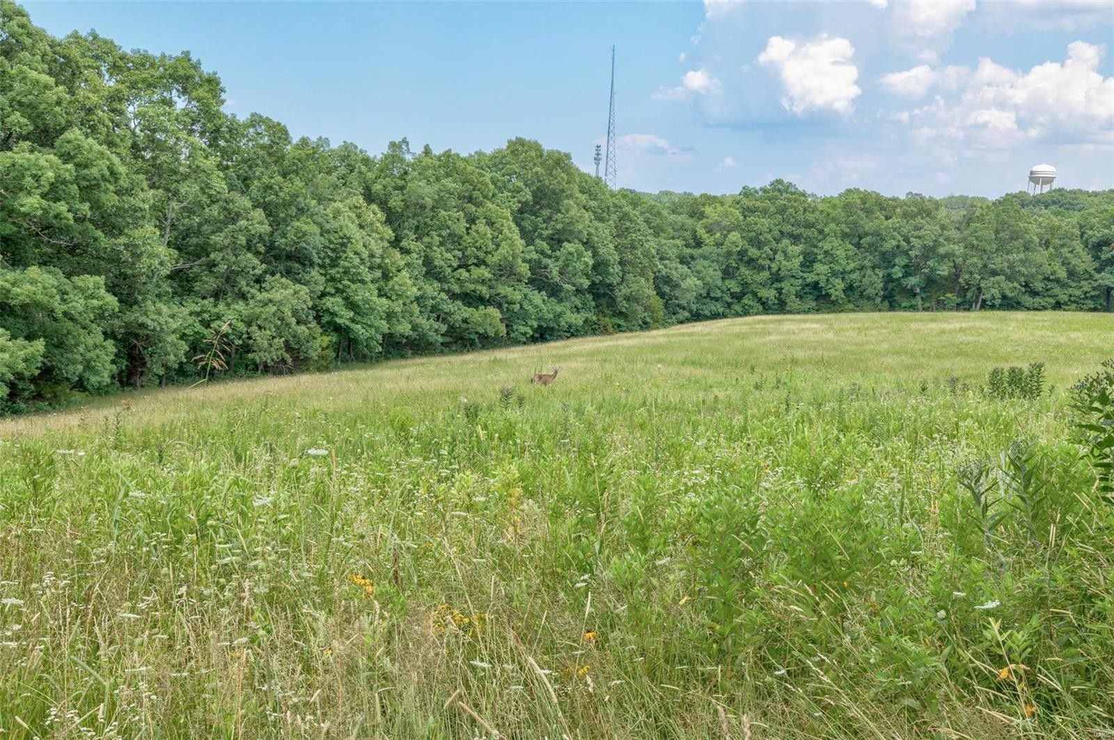 Hillsboro, Jefferson County, MO Farms and Ranches for sale Property ID