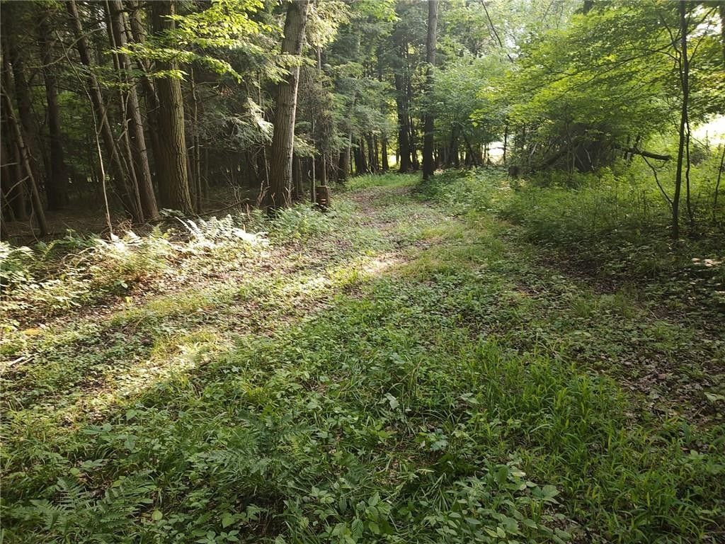 Albion, Erie County, PA Farms and Ranches, House for sale Property ID