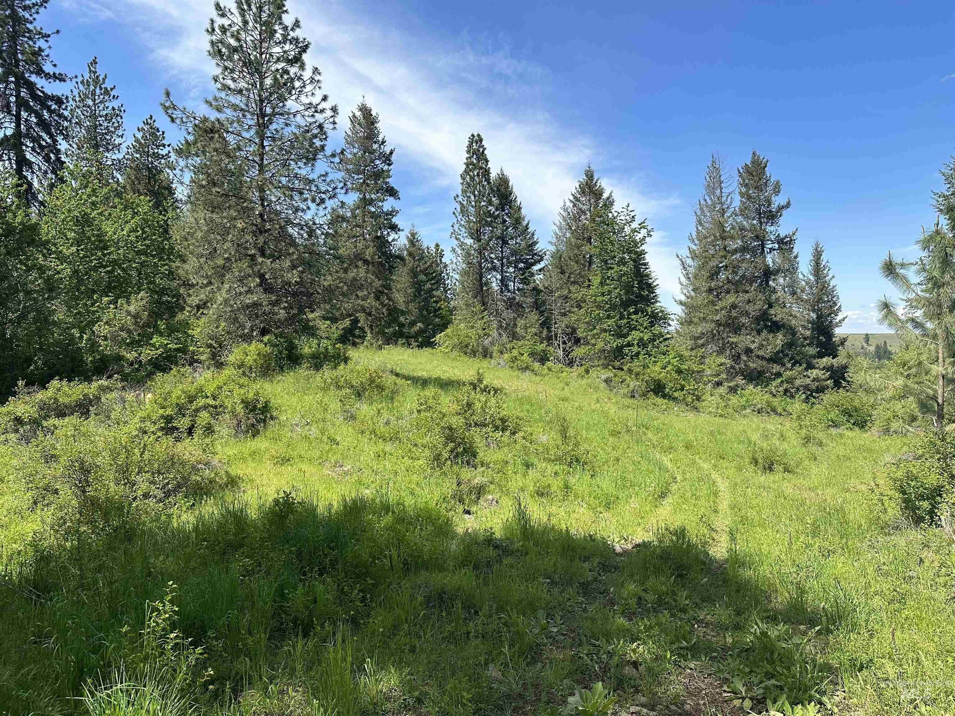 Grangeville, Idaho County, ID Undeveloped Land for sale Property ID