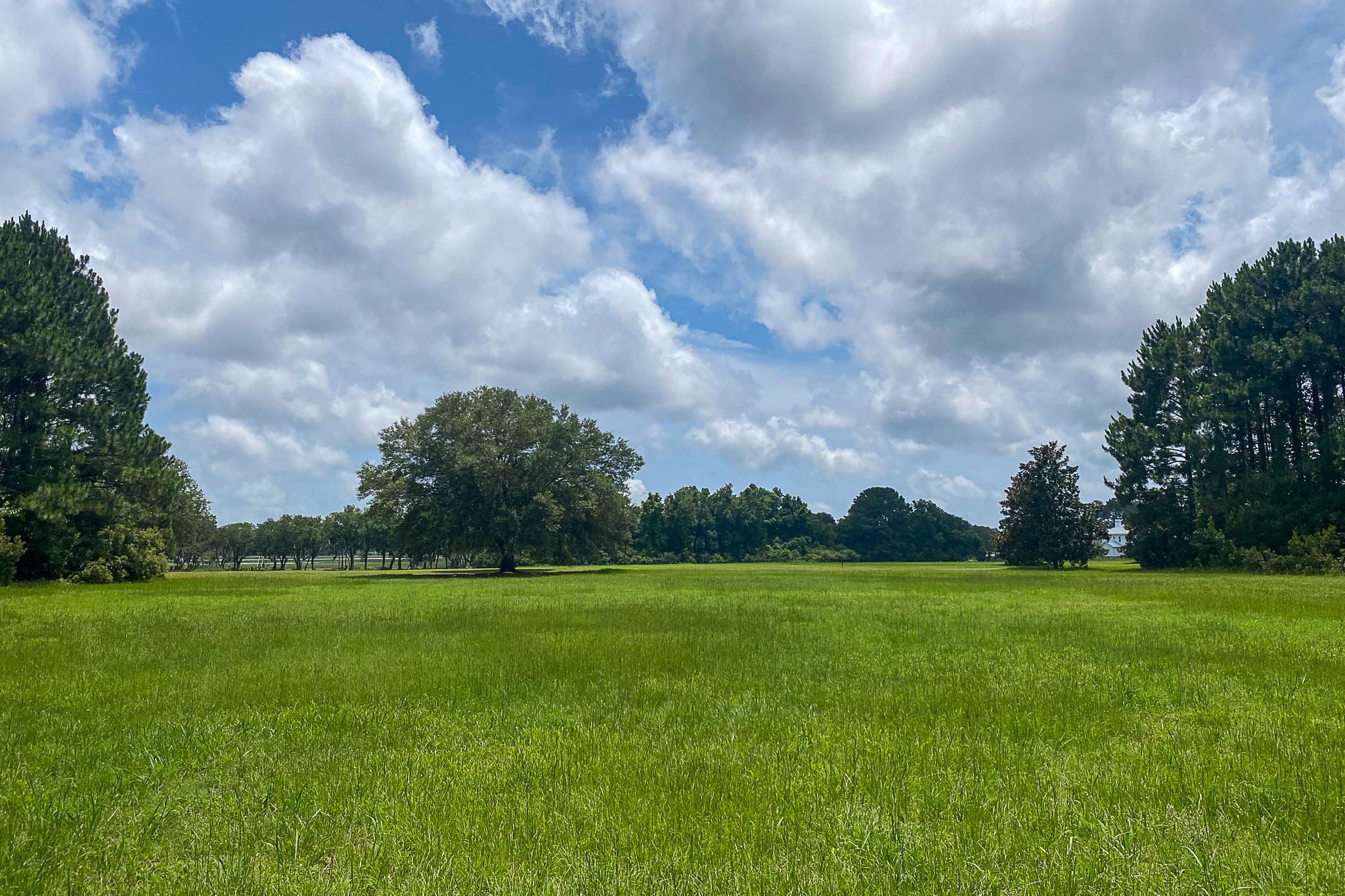 Wadmalaw Island, Charleston County, SC Homesites for sale Property ID