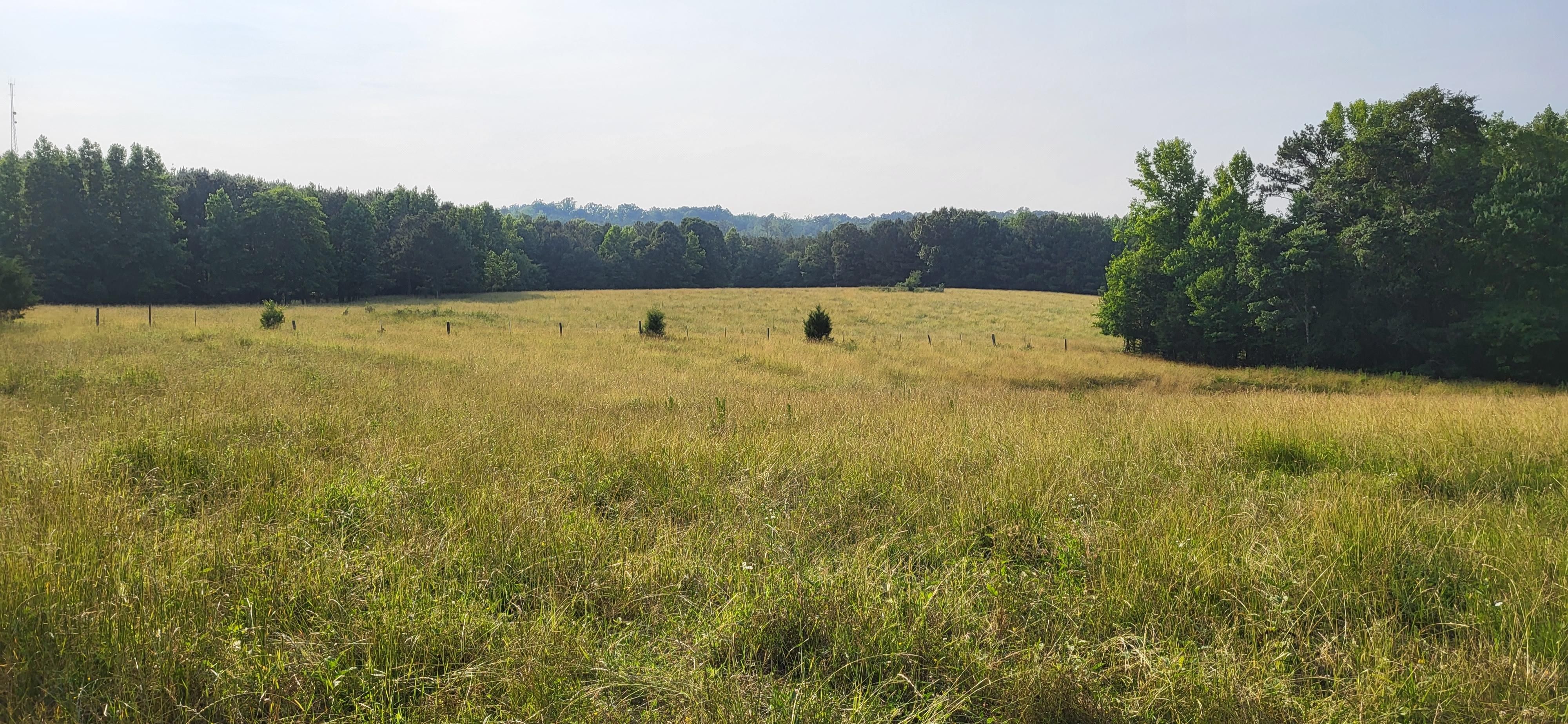 Coy Road, Biscoe, NC 27209 MLS Strickland +/ 28 Acres LandWatch