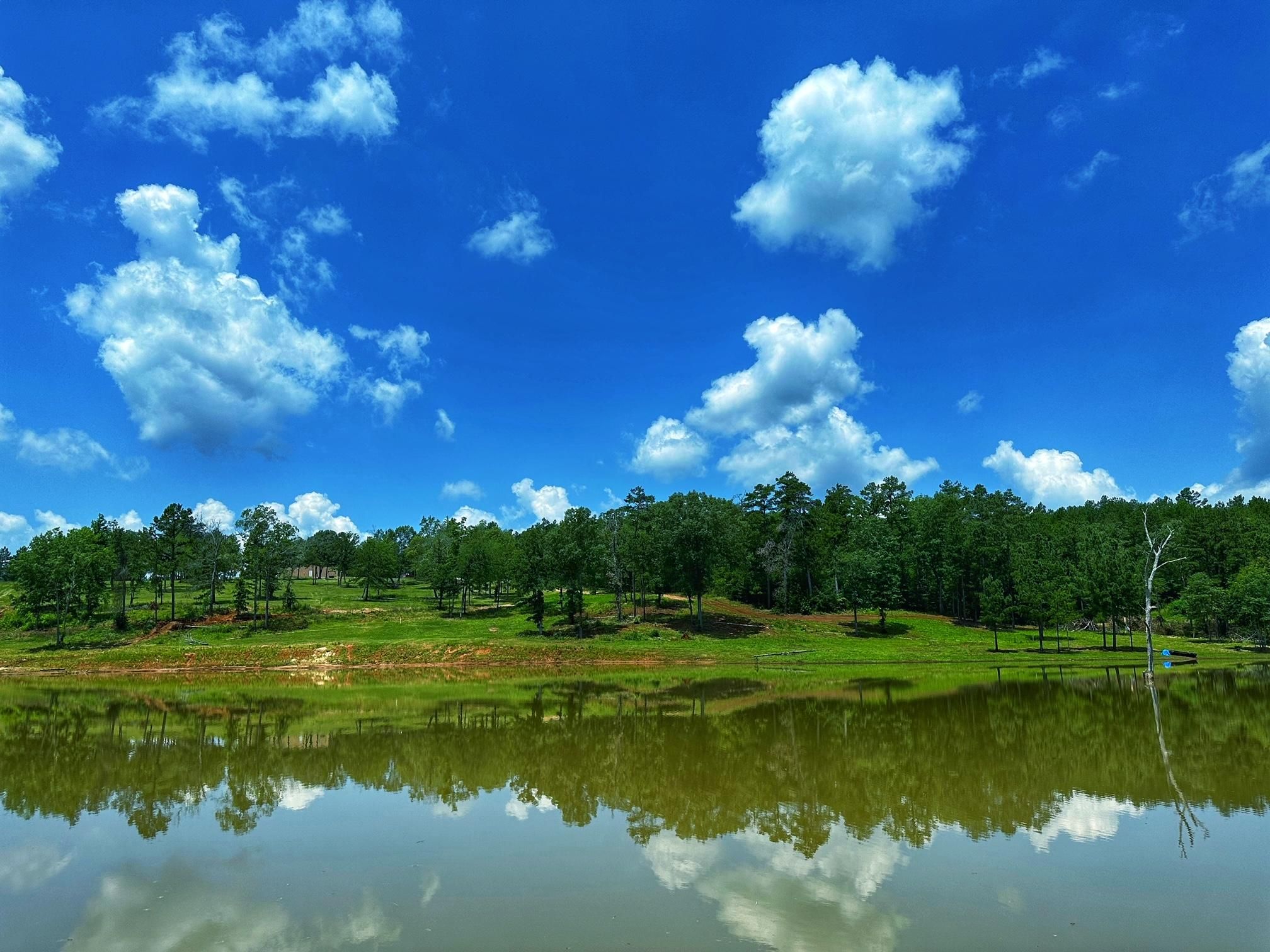 10024 County Road 207, Centerville, TX 75833 LandWatch