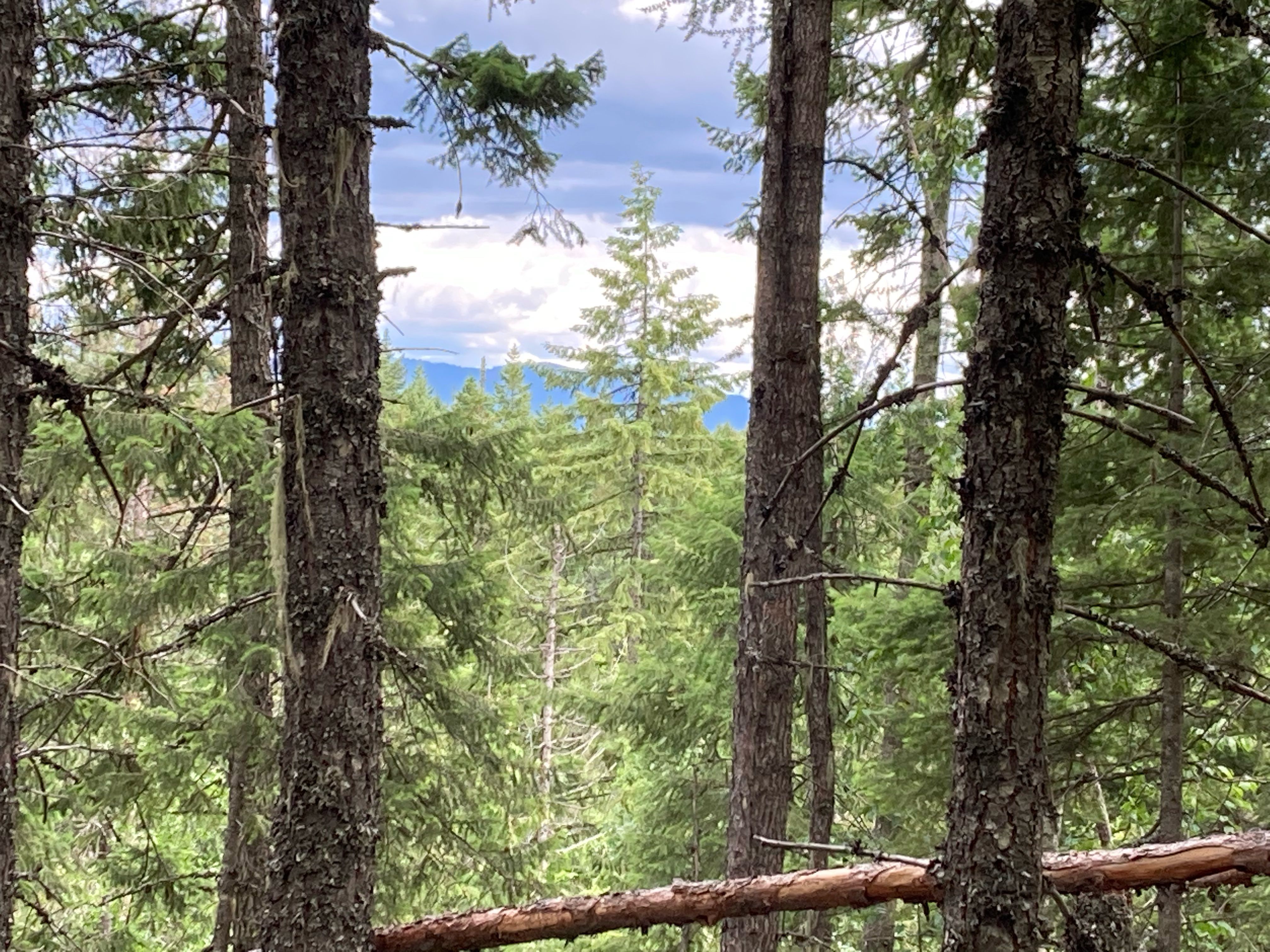 Sandpoint, Bonner County, ID Undeveloped Land for sale Property ID