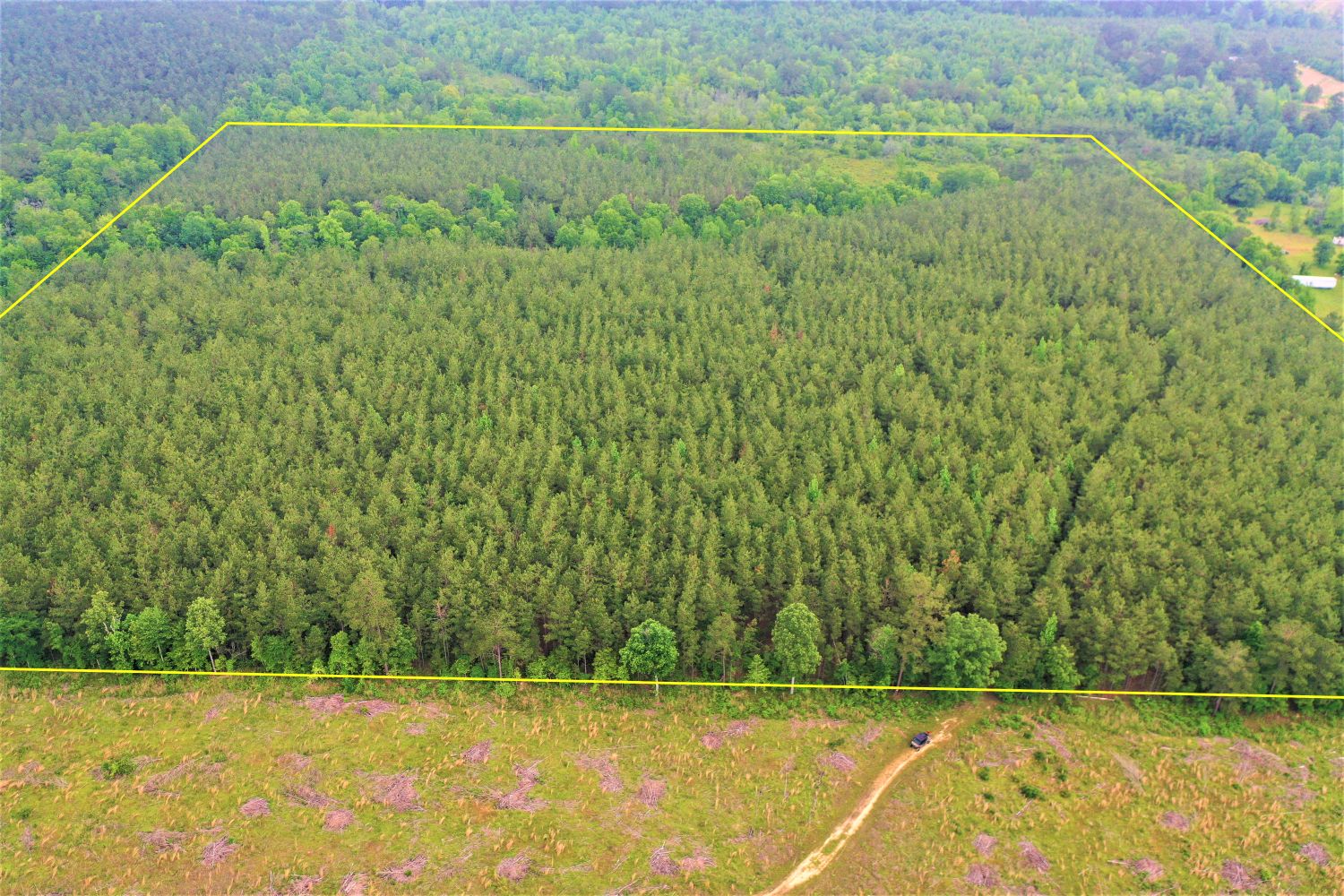 Rosston, Nevada County, AR Recreational Property, Timberland Property, Hunting Property for sale