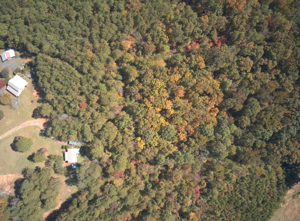 Adairsville, Bartow County, GA Recreational Property, Timberland