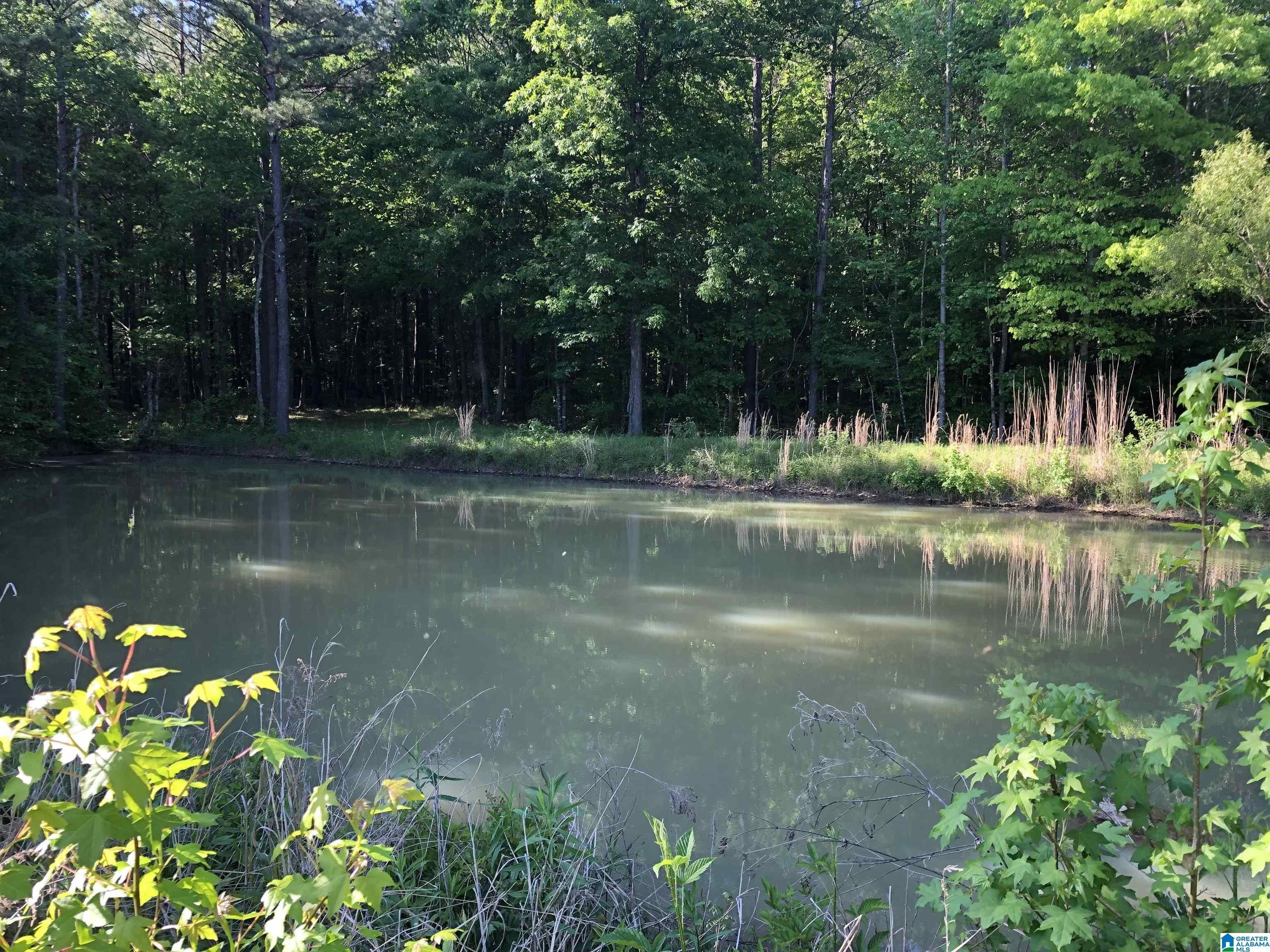 Columbiana, Shelby County, AL Farms and Ranches for sale Property ID