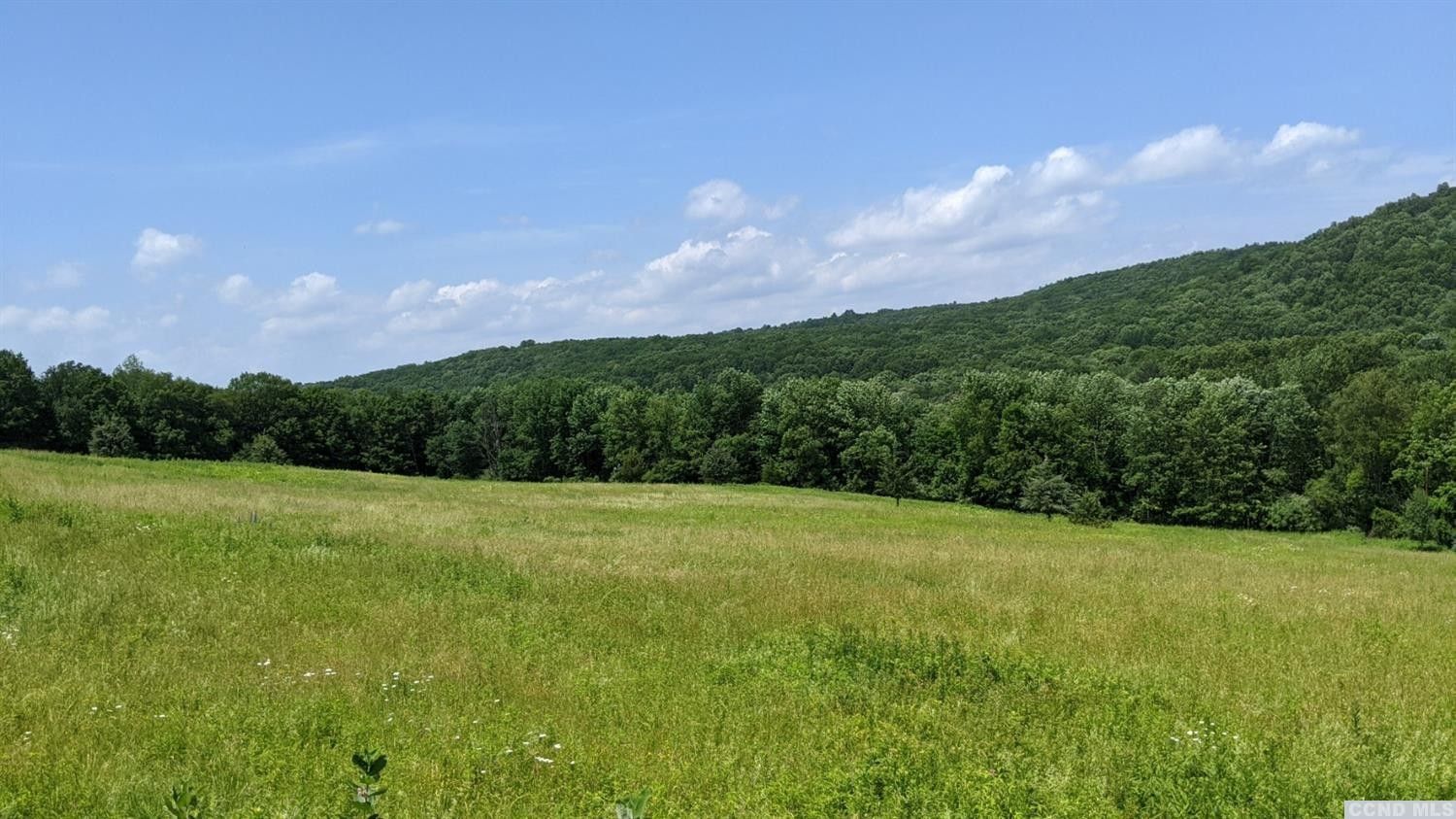 Taghkanic, Columbia County, NY Farms and Ranches for sale Property ID