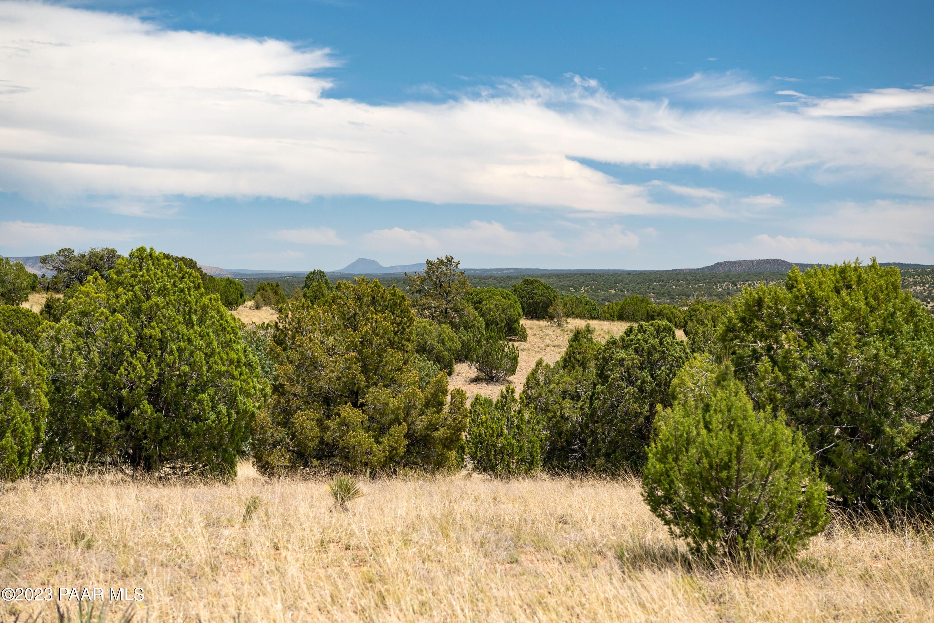 Seligman, Yavapai County, AZ Farms and Ranches for sale Property ID