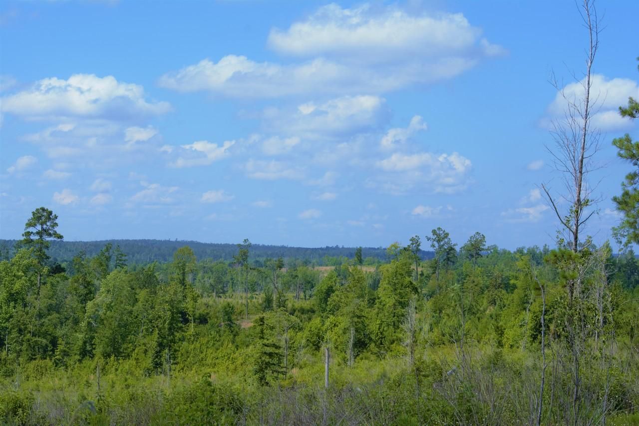 Chattahoochee, Gadsden County, FL Recreational Property, Timberland
