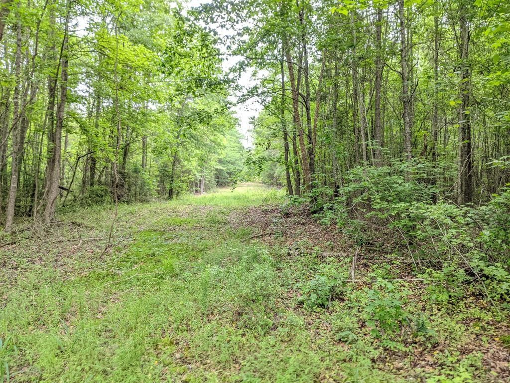 Ware Shoals, Greenwood County, SC for sale Property ID 416746102