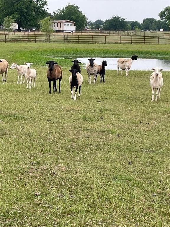 Whitesboro, Cooke County, TX Farms and Ranches, Homesites for sale