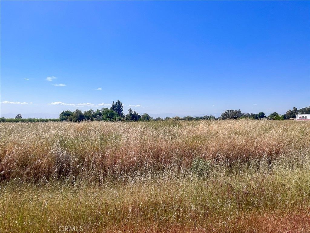 Orland, Glenn County, CA Farms and Ranches, Homesites for sale Property