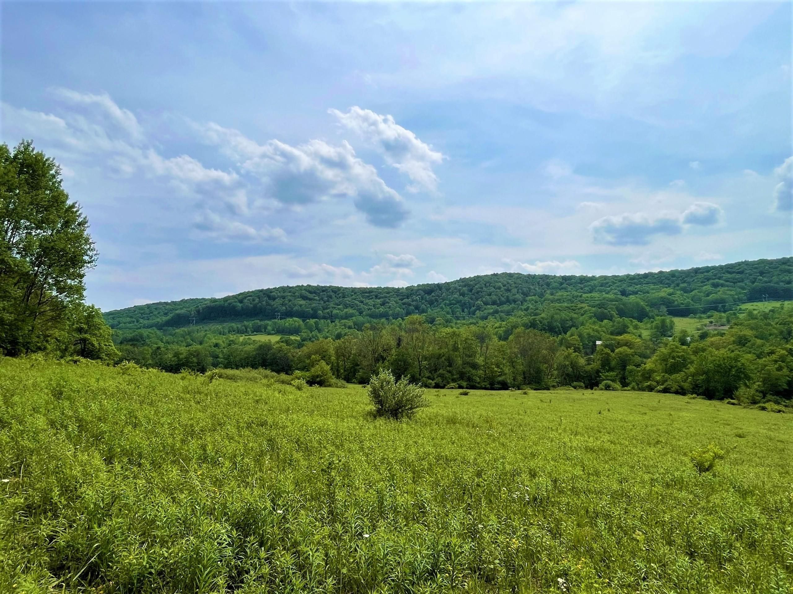 Hinsdale, Cattaraugus County, NY Recreational Property, Timberland
