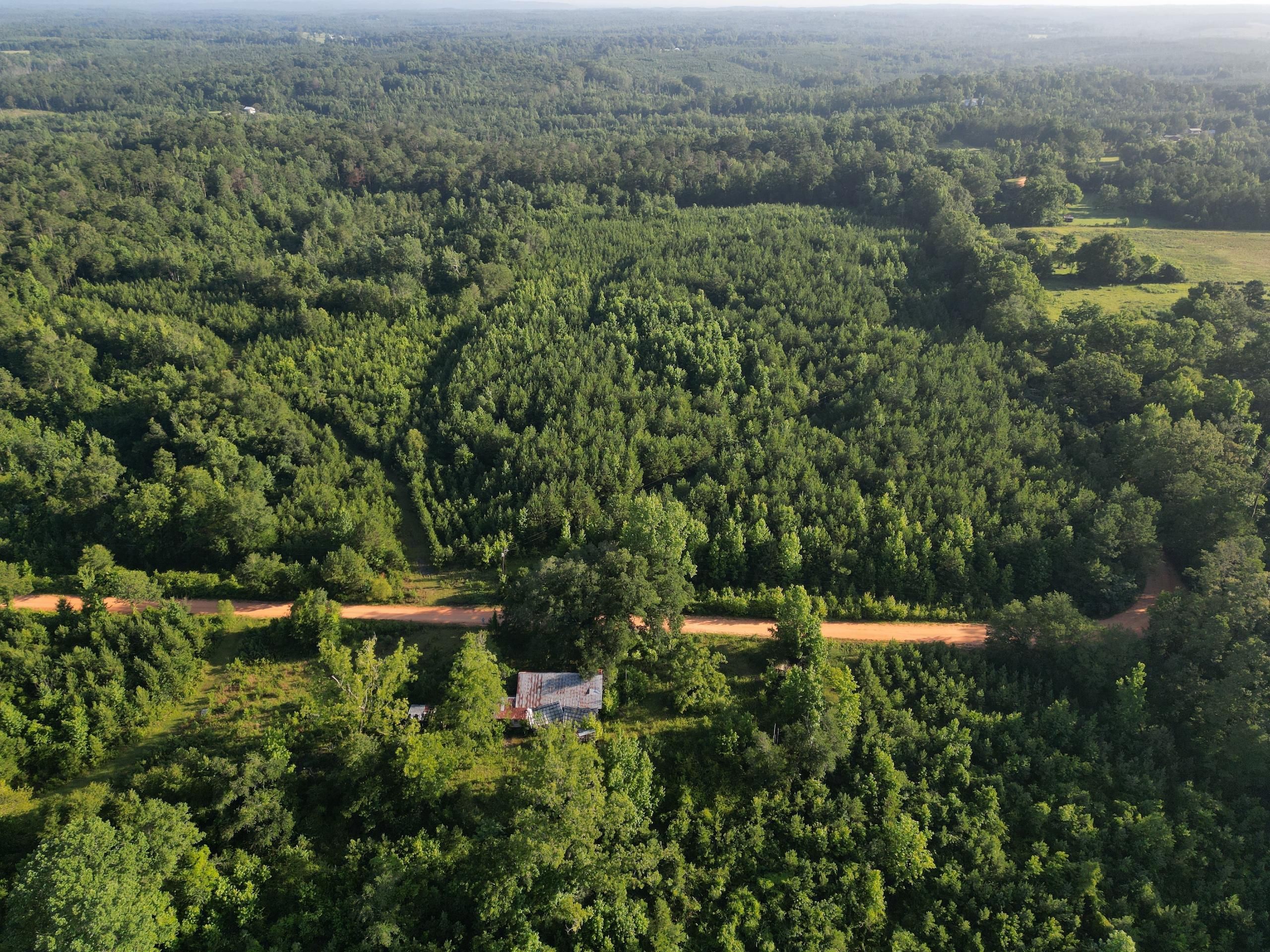 Coffeeville, Clarke County, AL Recreational Property, Timberland