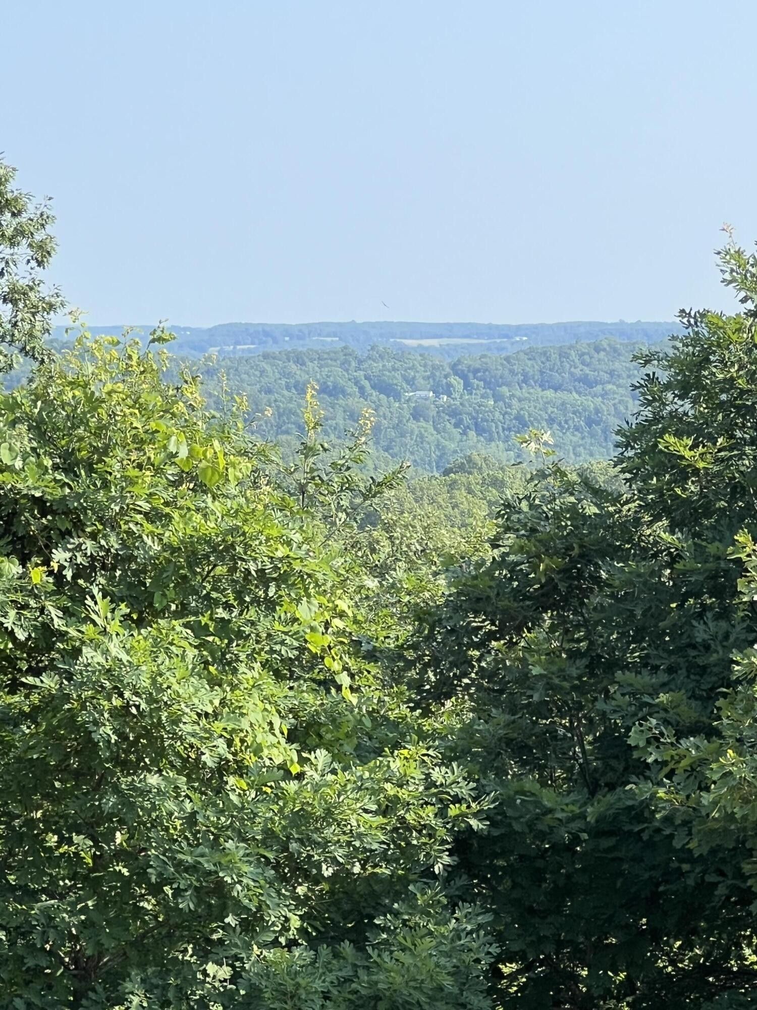 Ava, Douglas County, MO House for sale Property ID 416750109 LandWatch