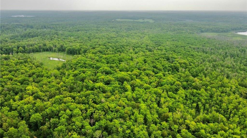 Aitkin, Crow Wing County, MN Farms and Ranches, Lakefront Property