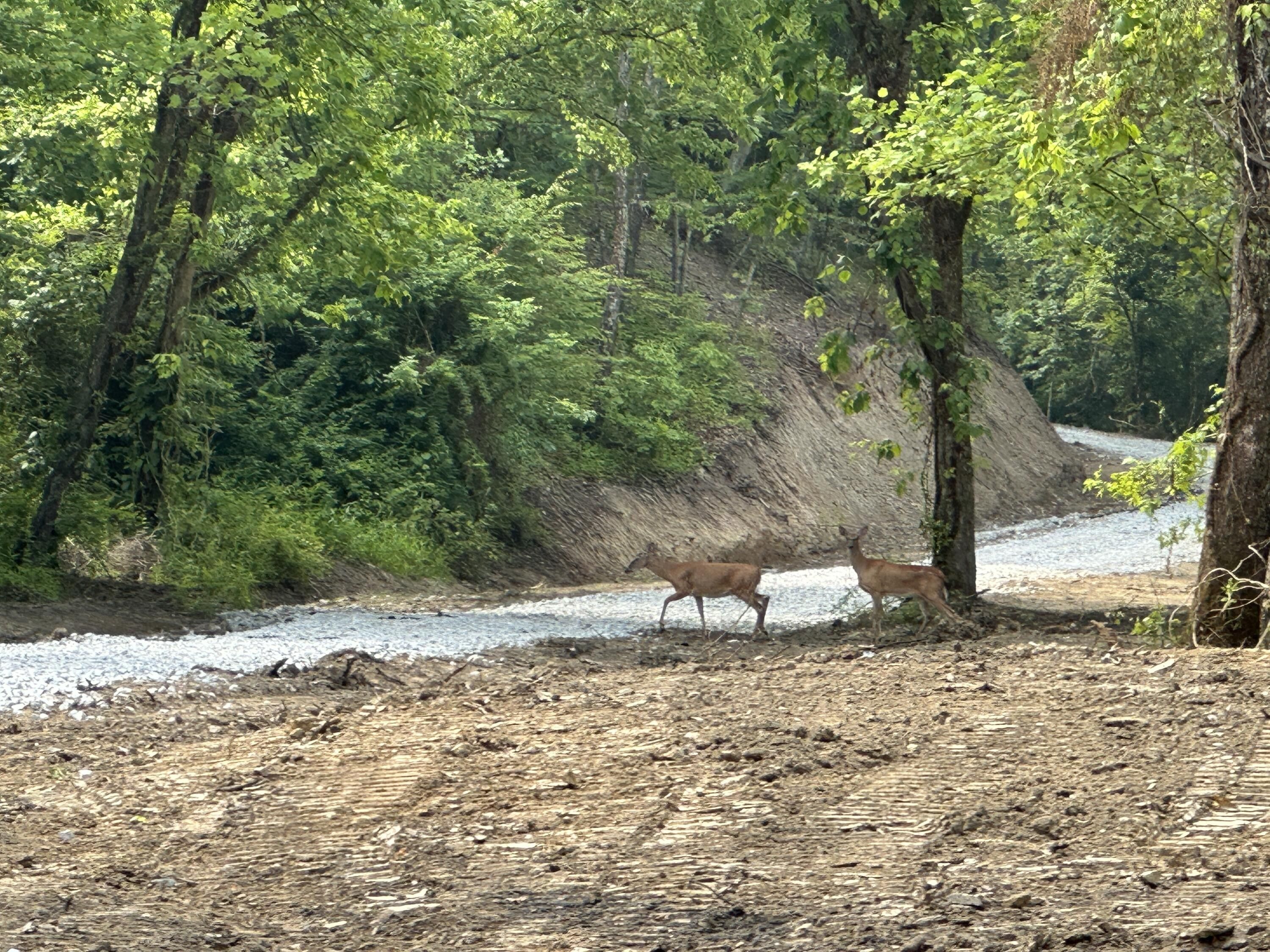 Hitchins, Carter County, KY Farms and Ranches for sale Property ID 416752223 LandWatch