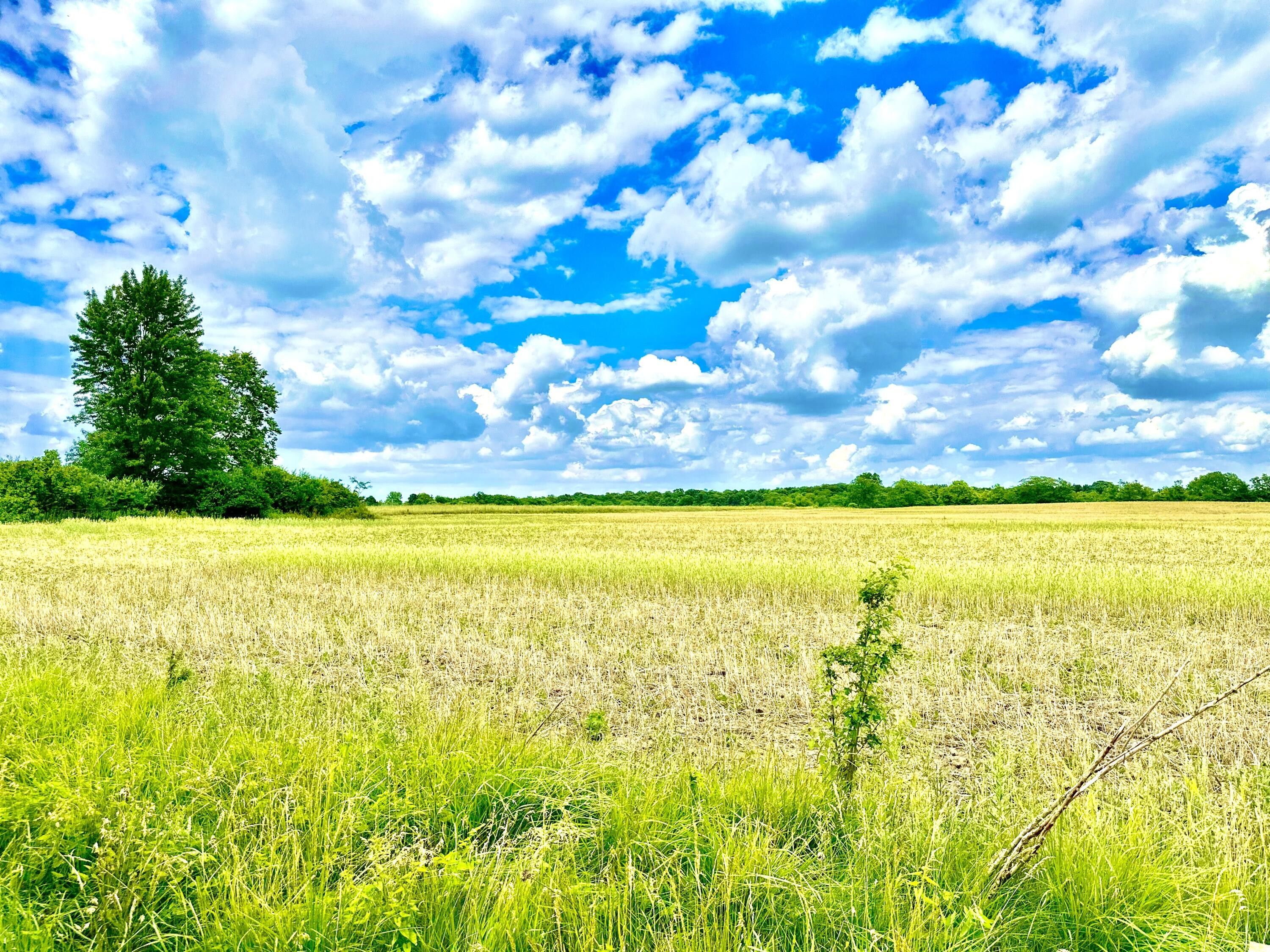 Piqua, Shelby County, OH Farms and Ranches for sale Property ID