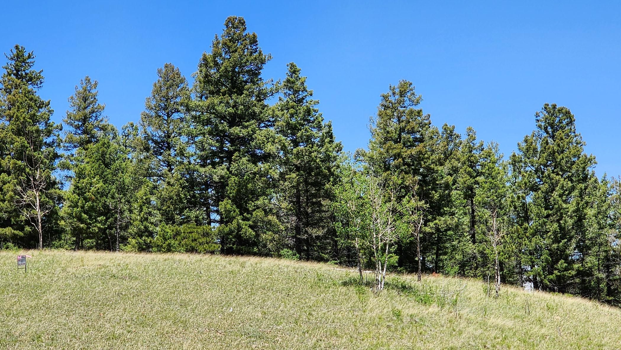 Cripple Creek, Teller County, CO Recreational Property, Hunting Property, Homesites for sale