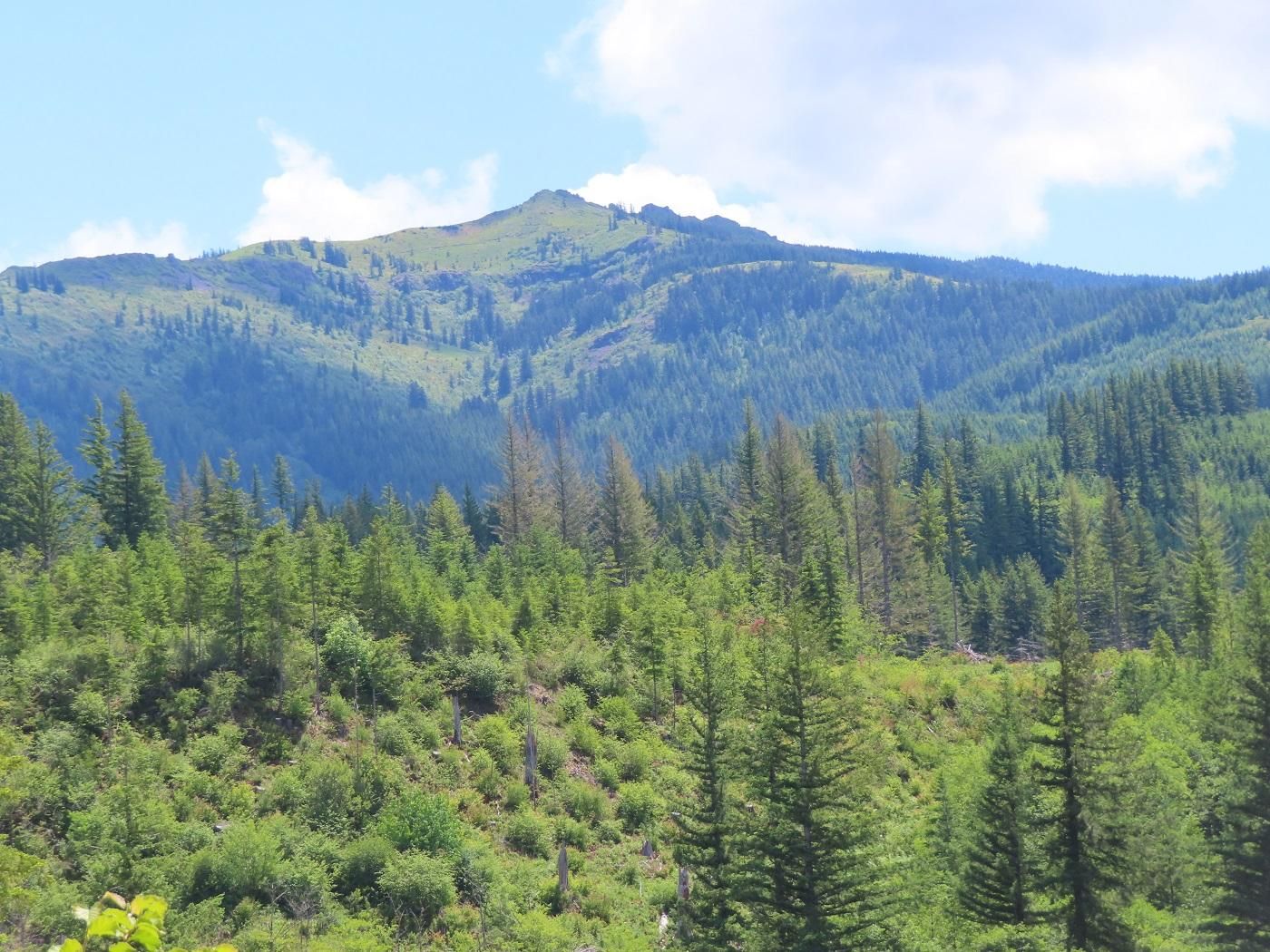 Yacolt, Clark County, WA Recreational Property, Timberland Property