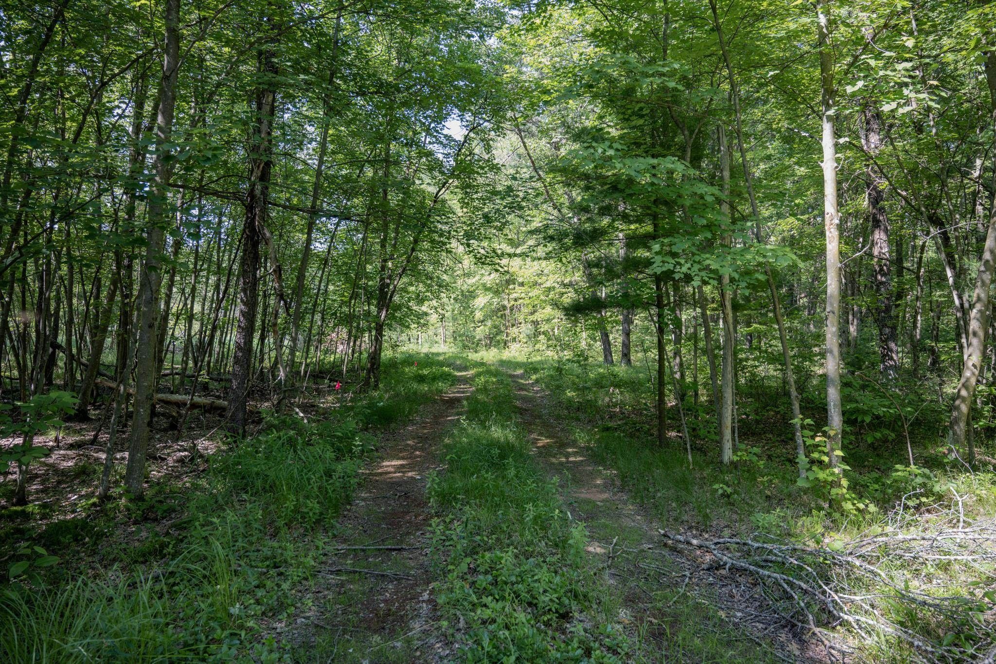 New Lisbon, Juneau County, WI Farms and Ranches for sale Property ID