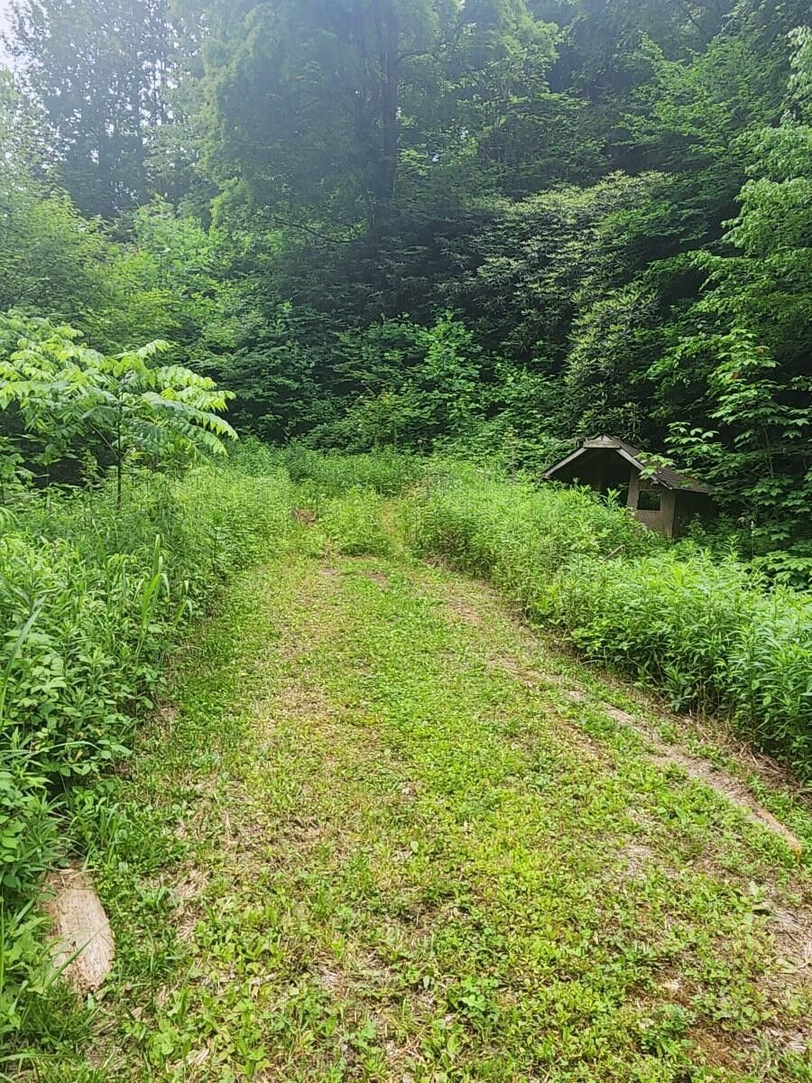 Hampton, Carter County, TN Farms and Ranches for sale Property ID