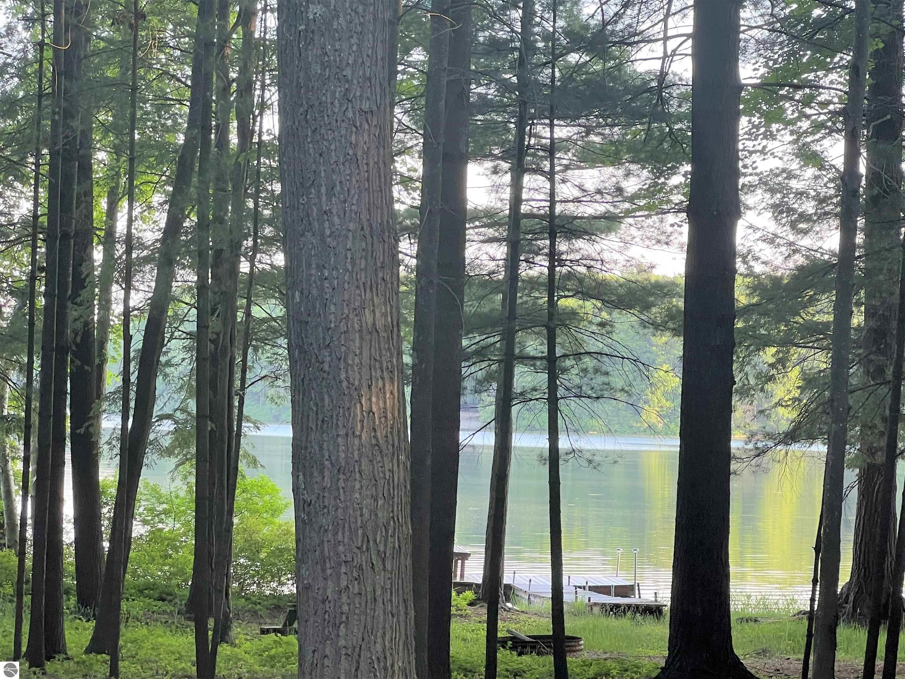 Interlochen, Grand Traverse County, MI Undeveloped Land, Lakefront