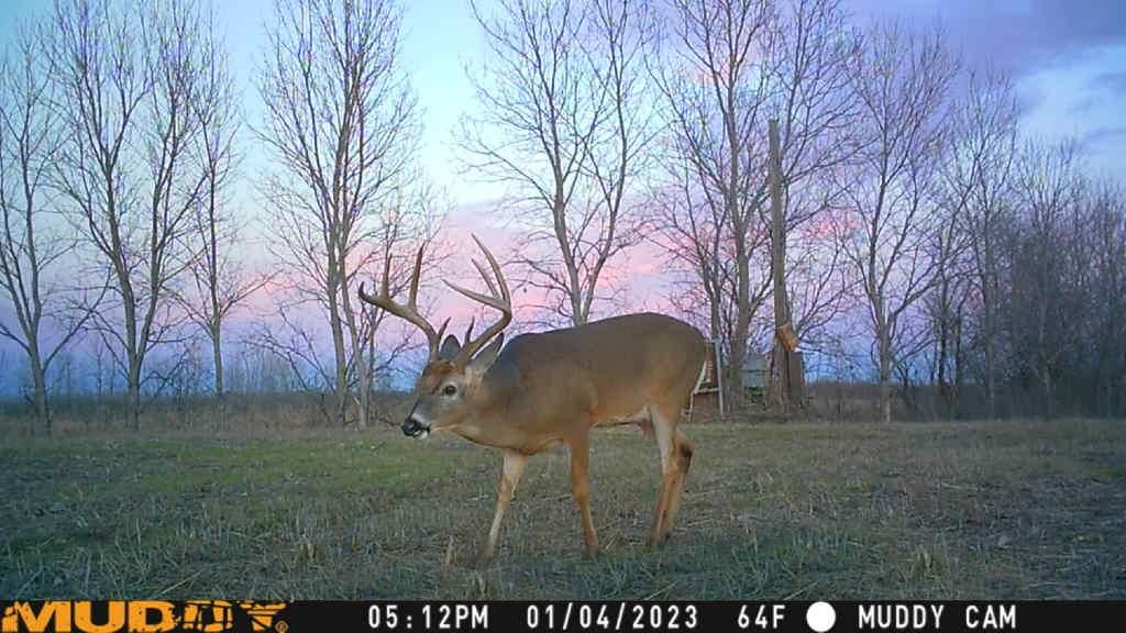 Isola, Humphreys County, MS Recreational Property, Hunting Property for