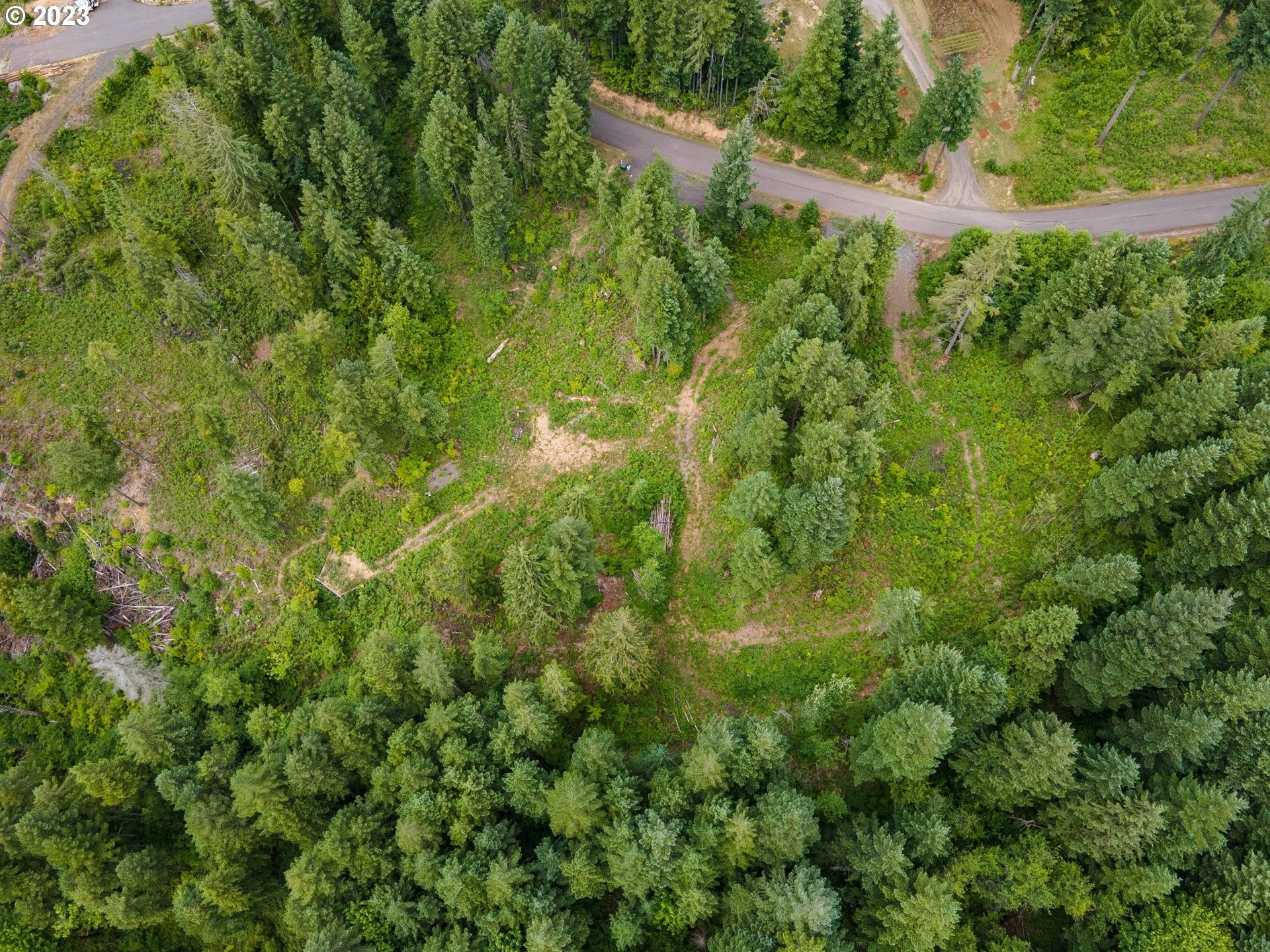 Carson, Skamania County, WA Undeveloped Land, Homesites for sale