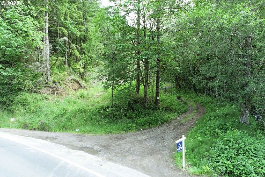 Kalama, Cowlitz County, WA Undeveloped Land for sale Property ID