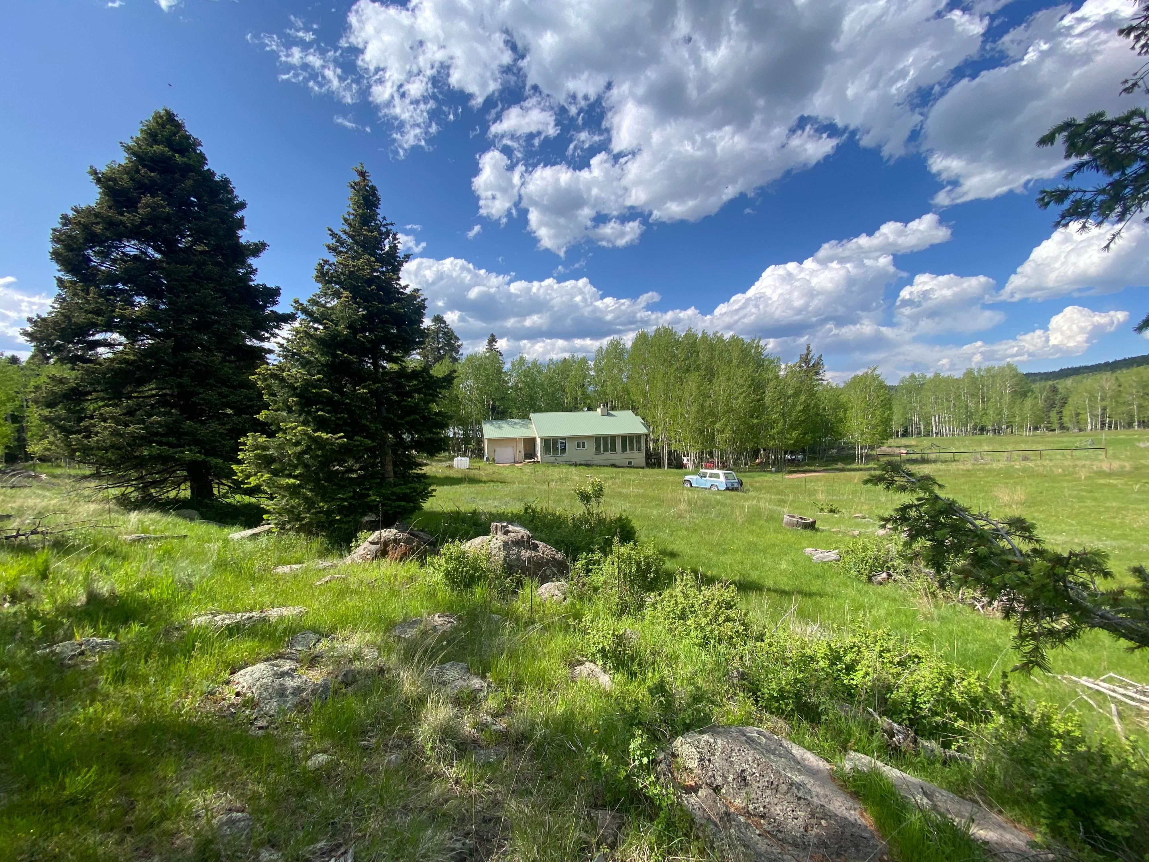 Angel Fire, Colfax County, NM Timberland Property, Hunting Property